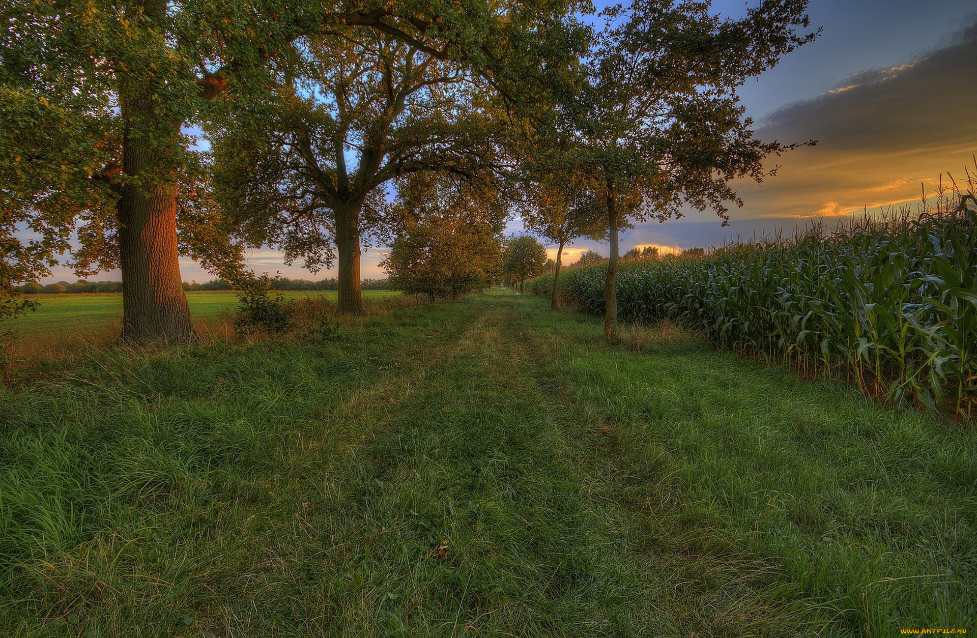 природа, дороги, простор