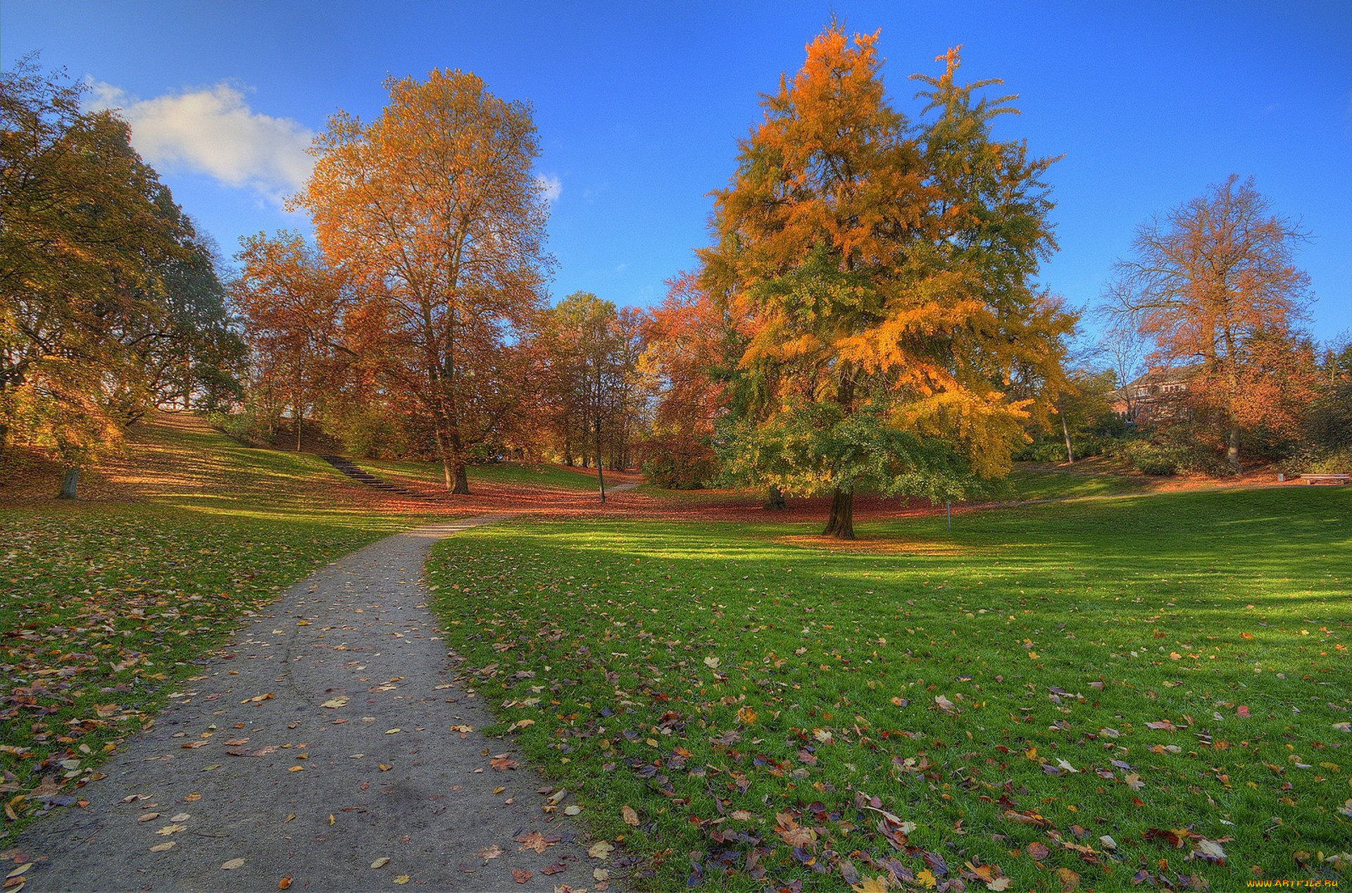 природа, дороги, простор