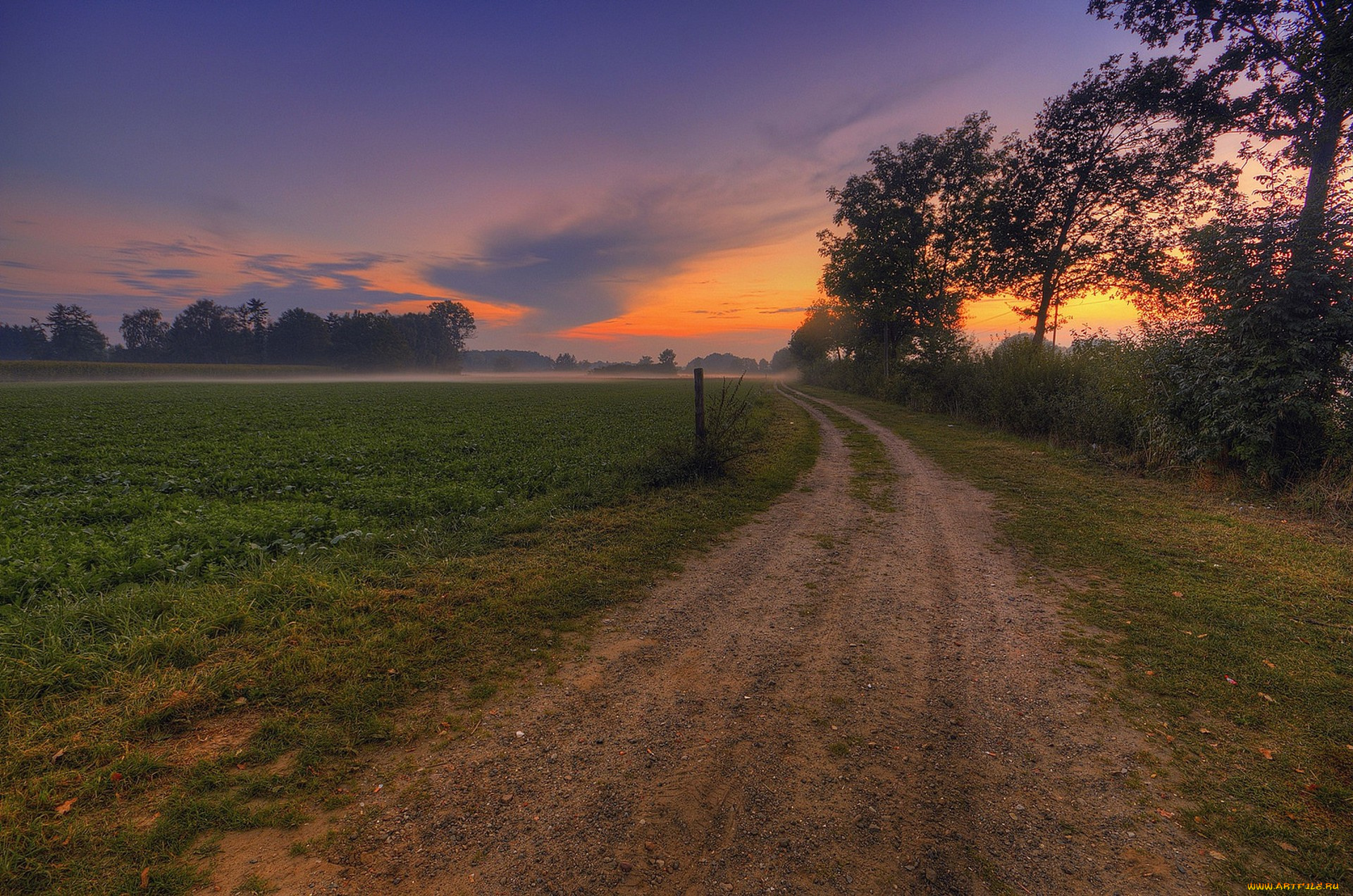 природа, дороги, простор