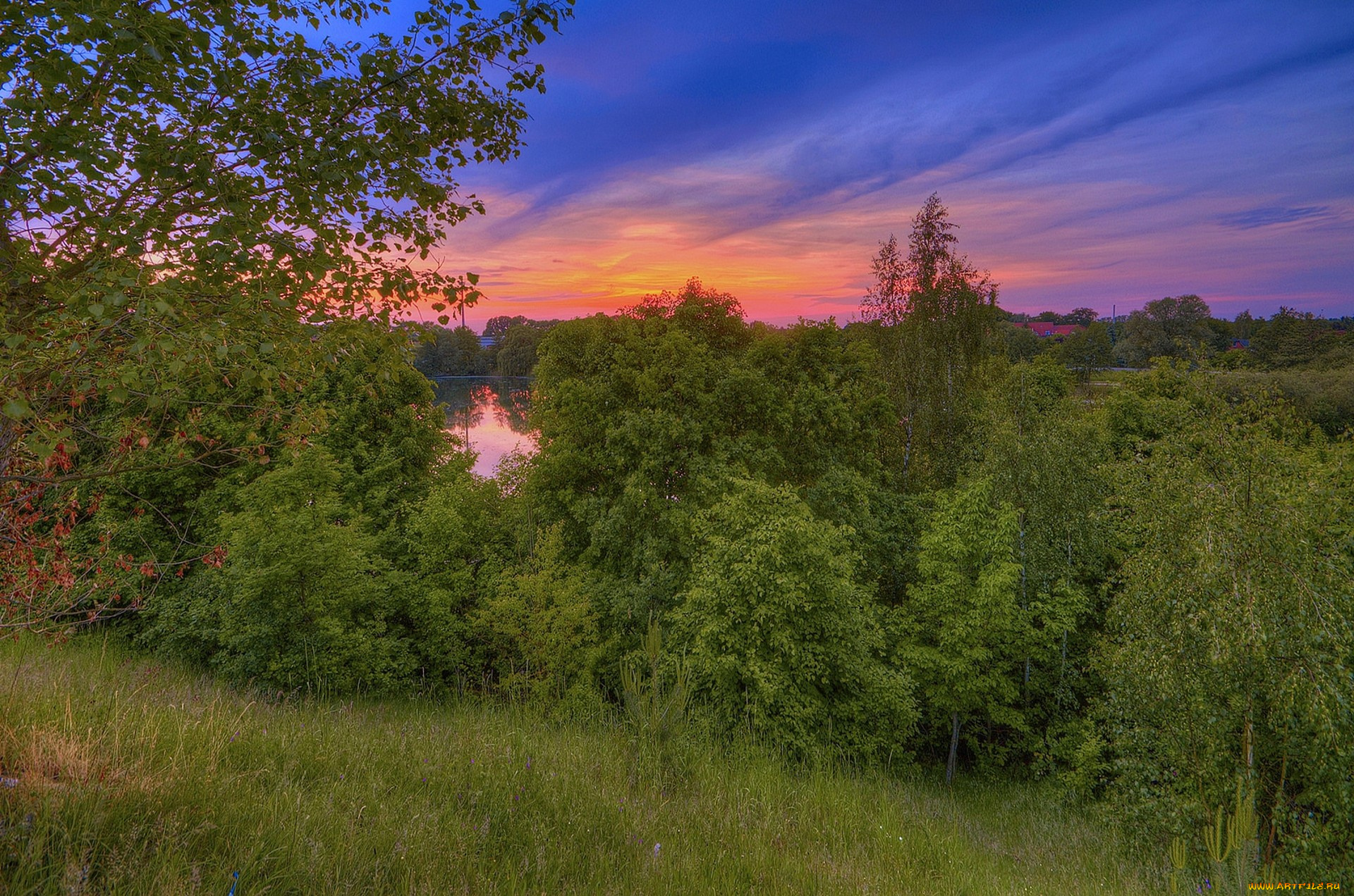 природа, пейзажи, простор