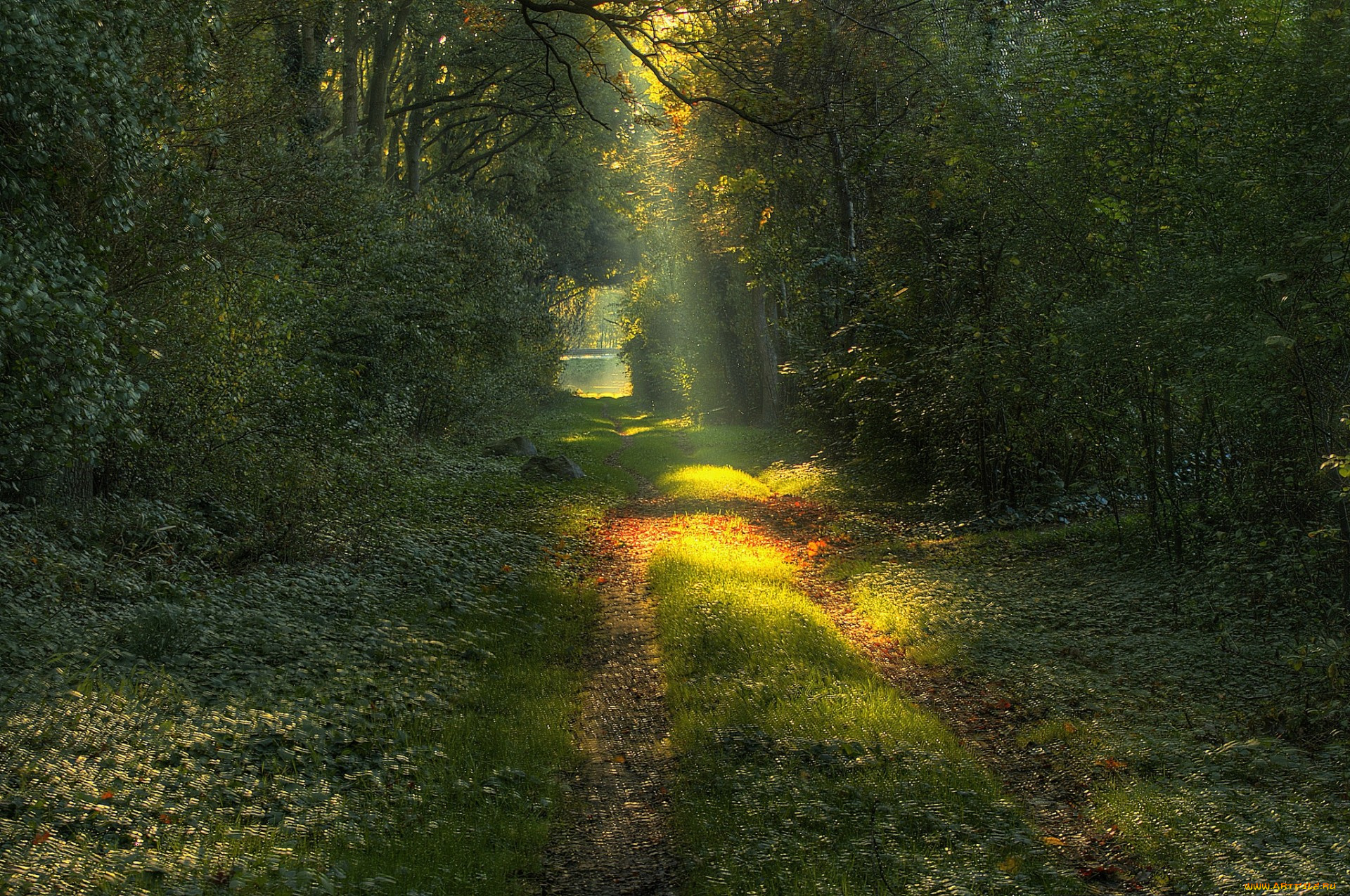 природа, дороги, простор