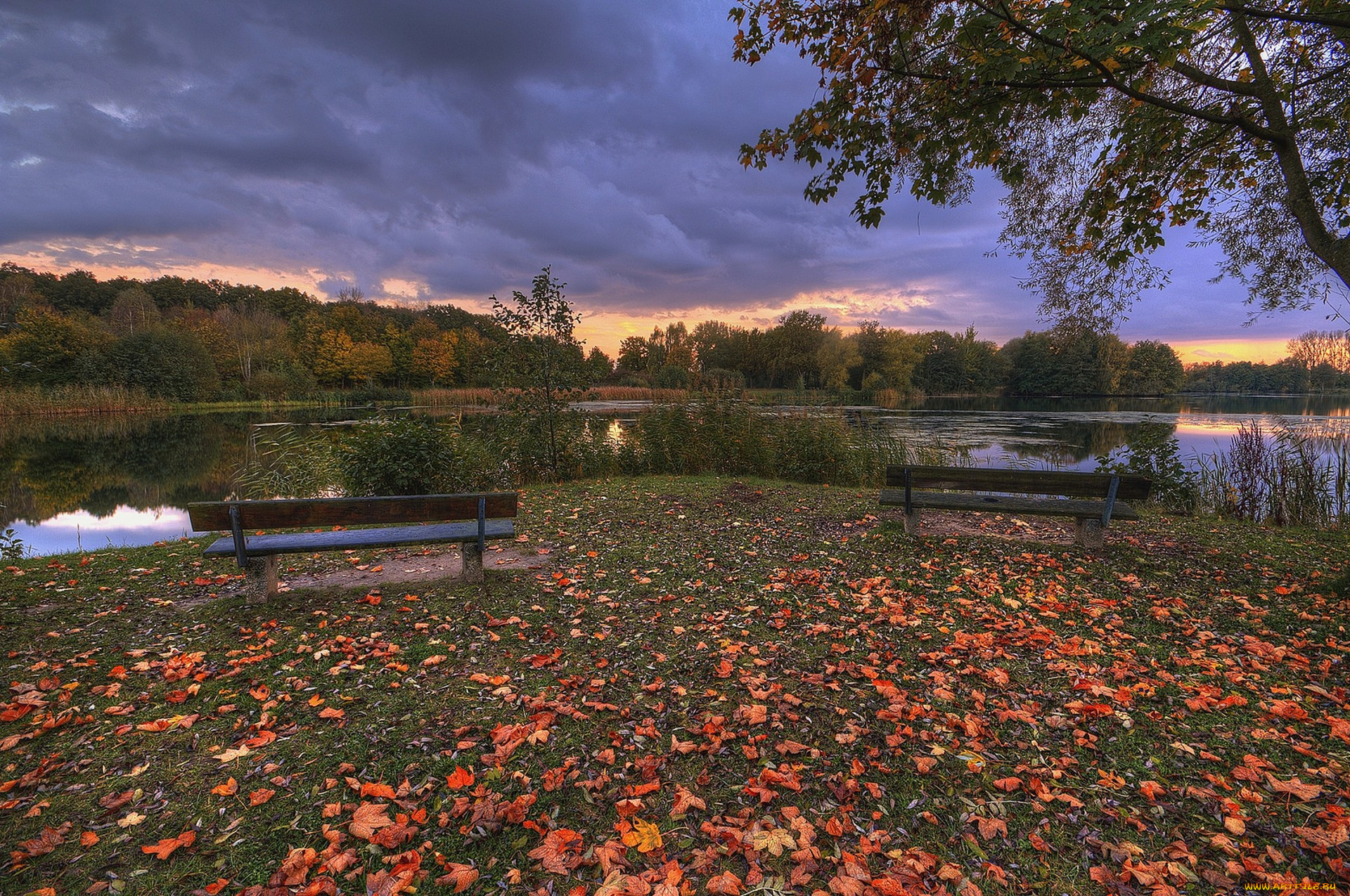 природа, реки, озера, простор