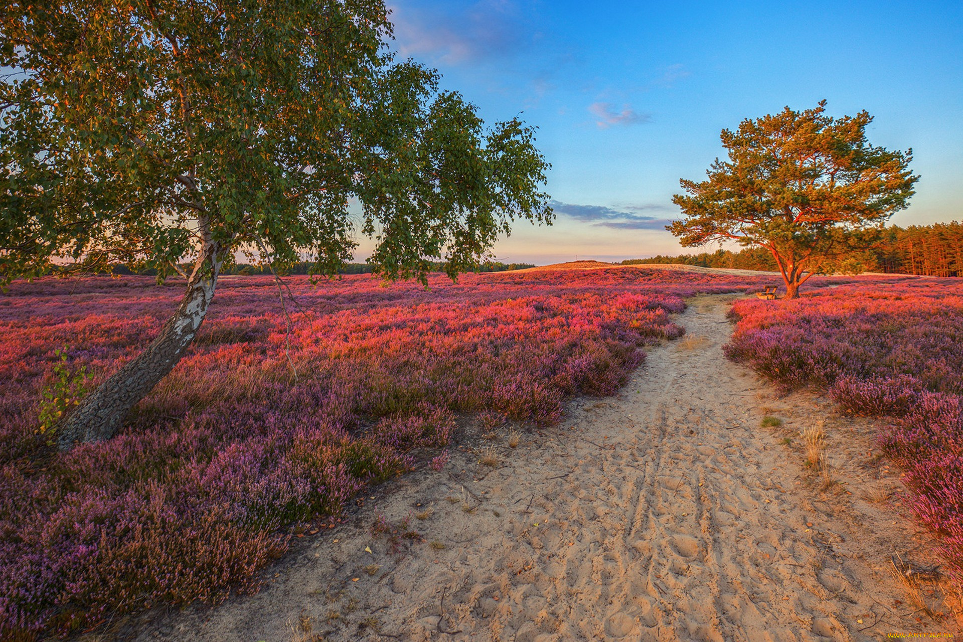 природа, дороги, простор