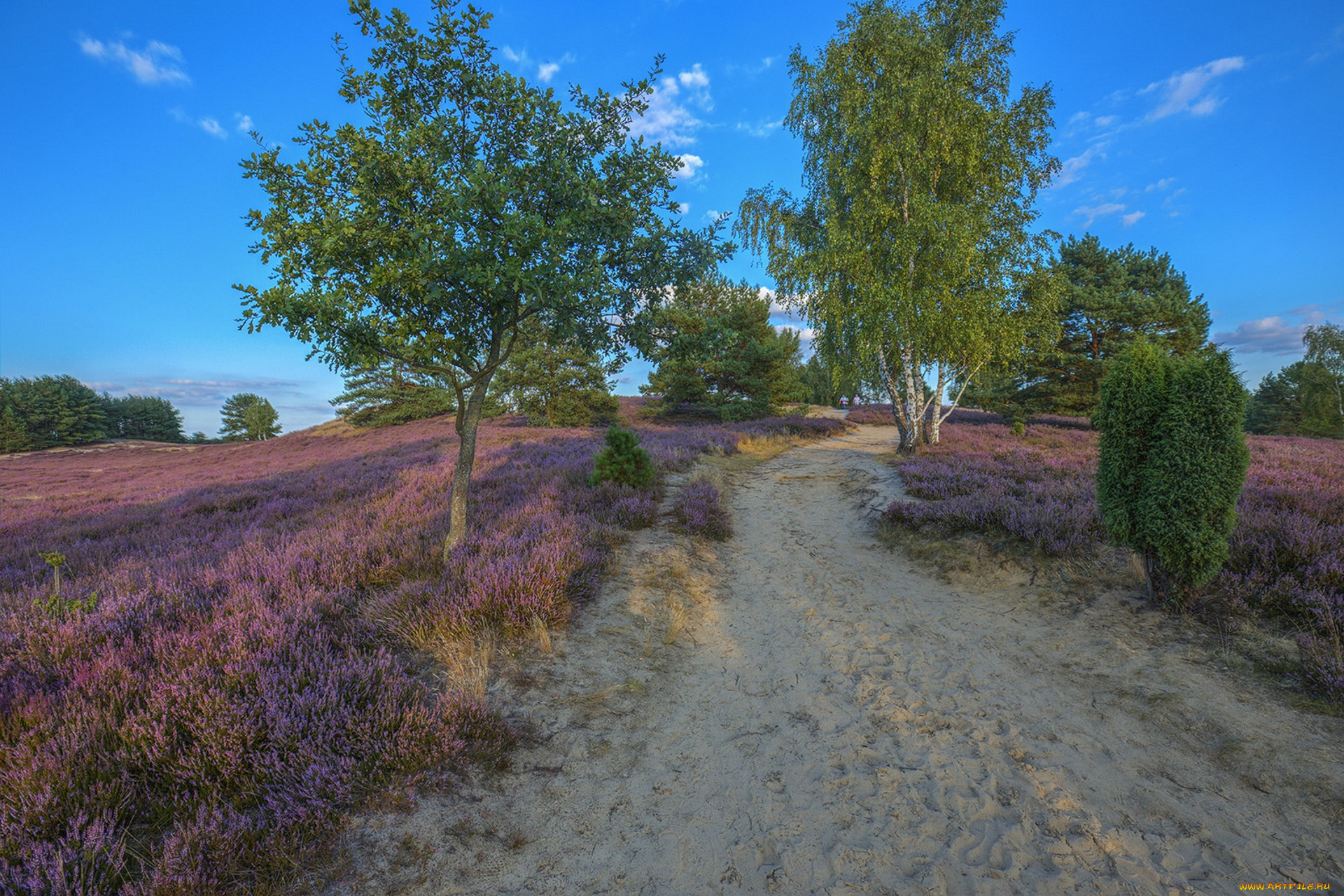 природа, дороги, простор