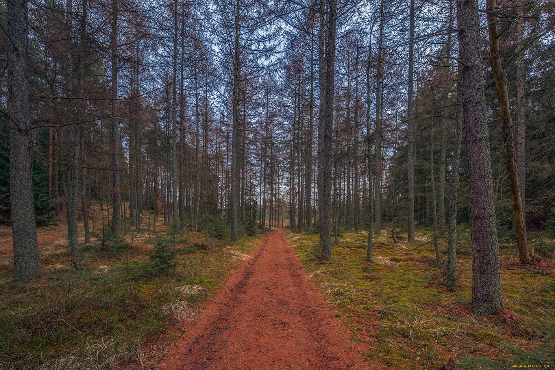 природа, дороги, простор