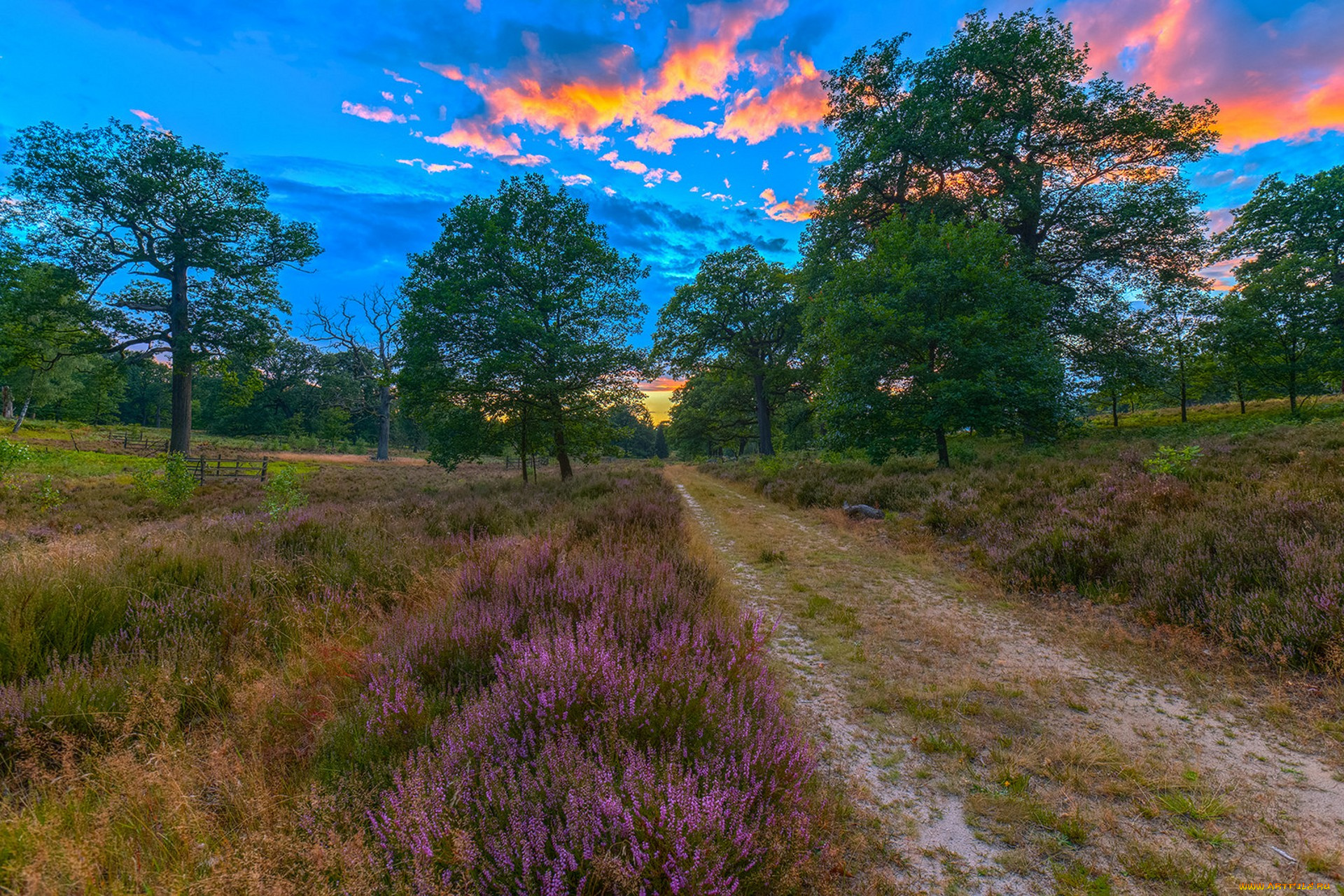 природа, дороги, простор