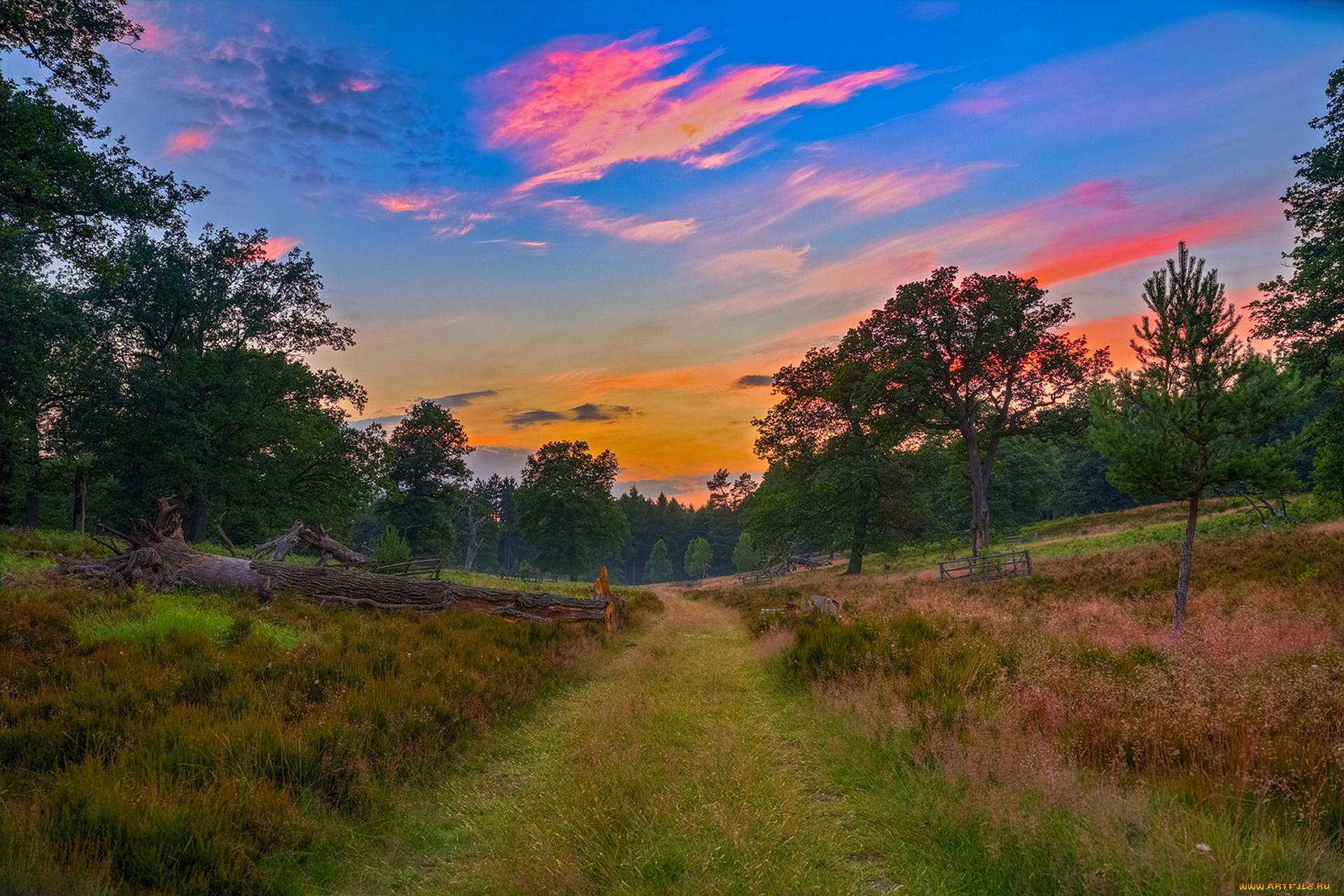 природа, дороги, простор