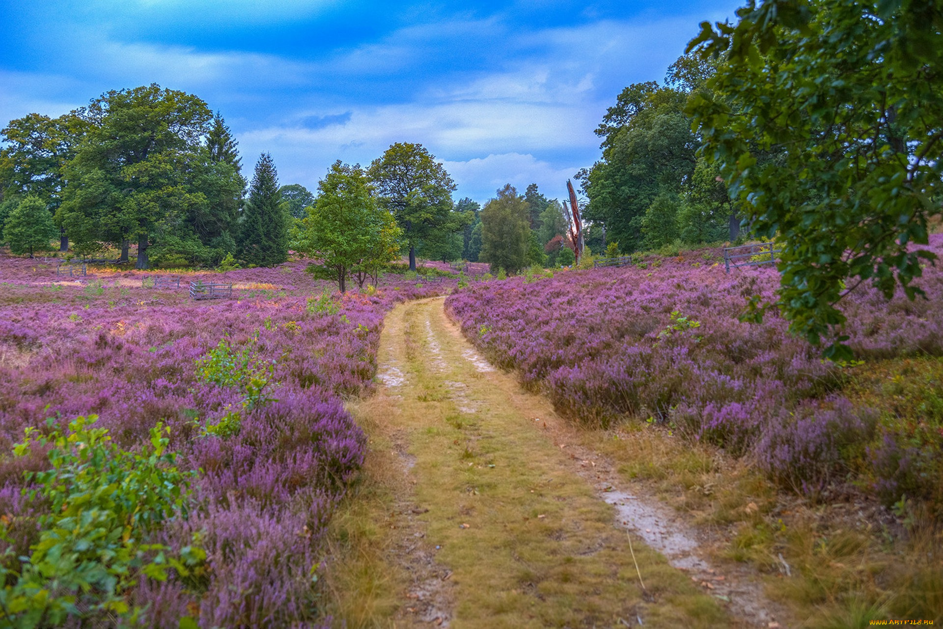 природа, дороги, простор