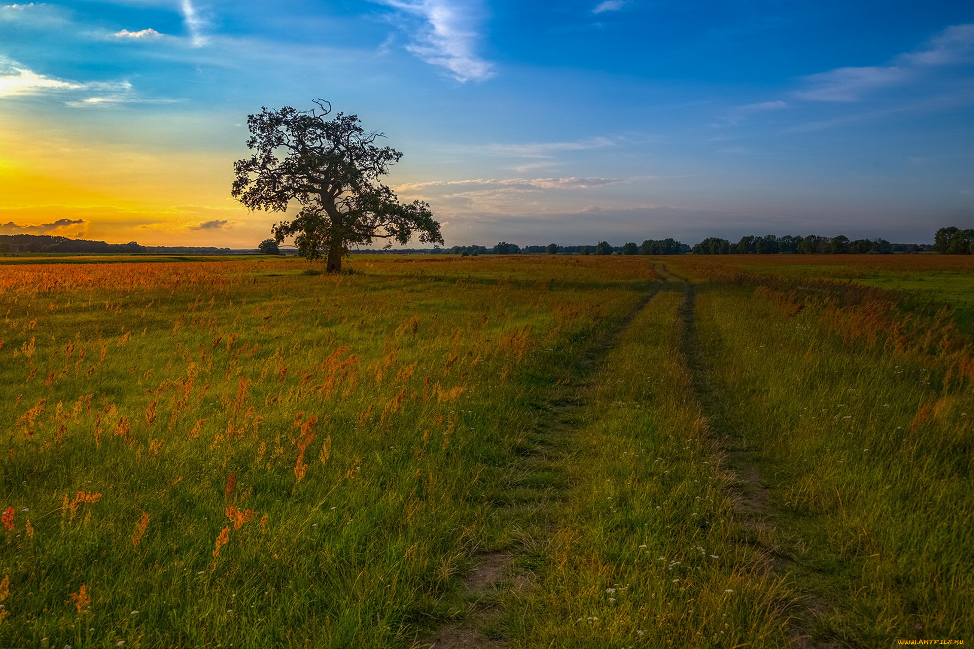 природа, дороги, простор