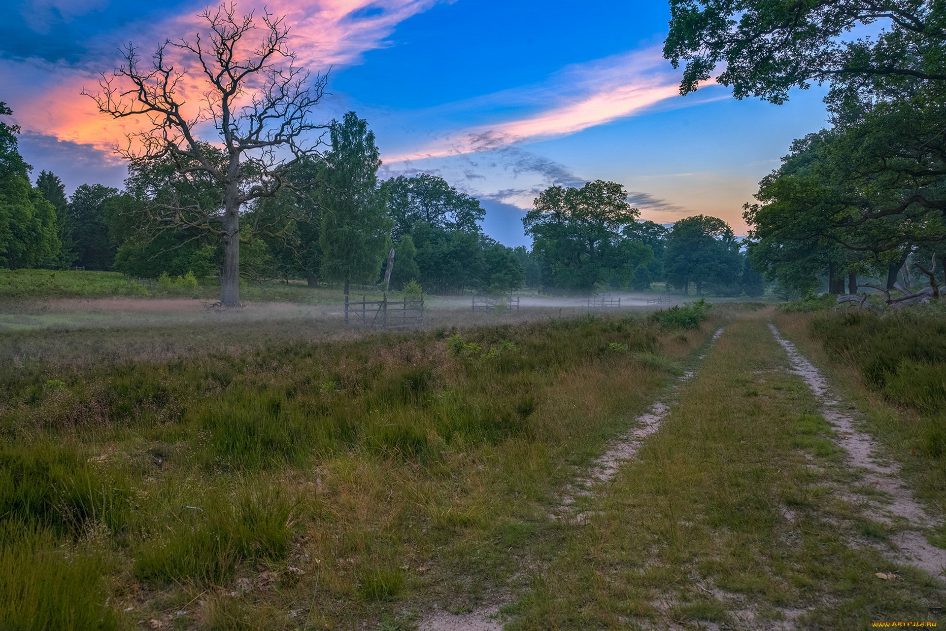 природа, дороги, простор