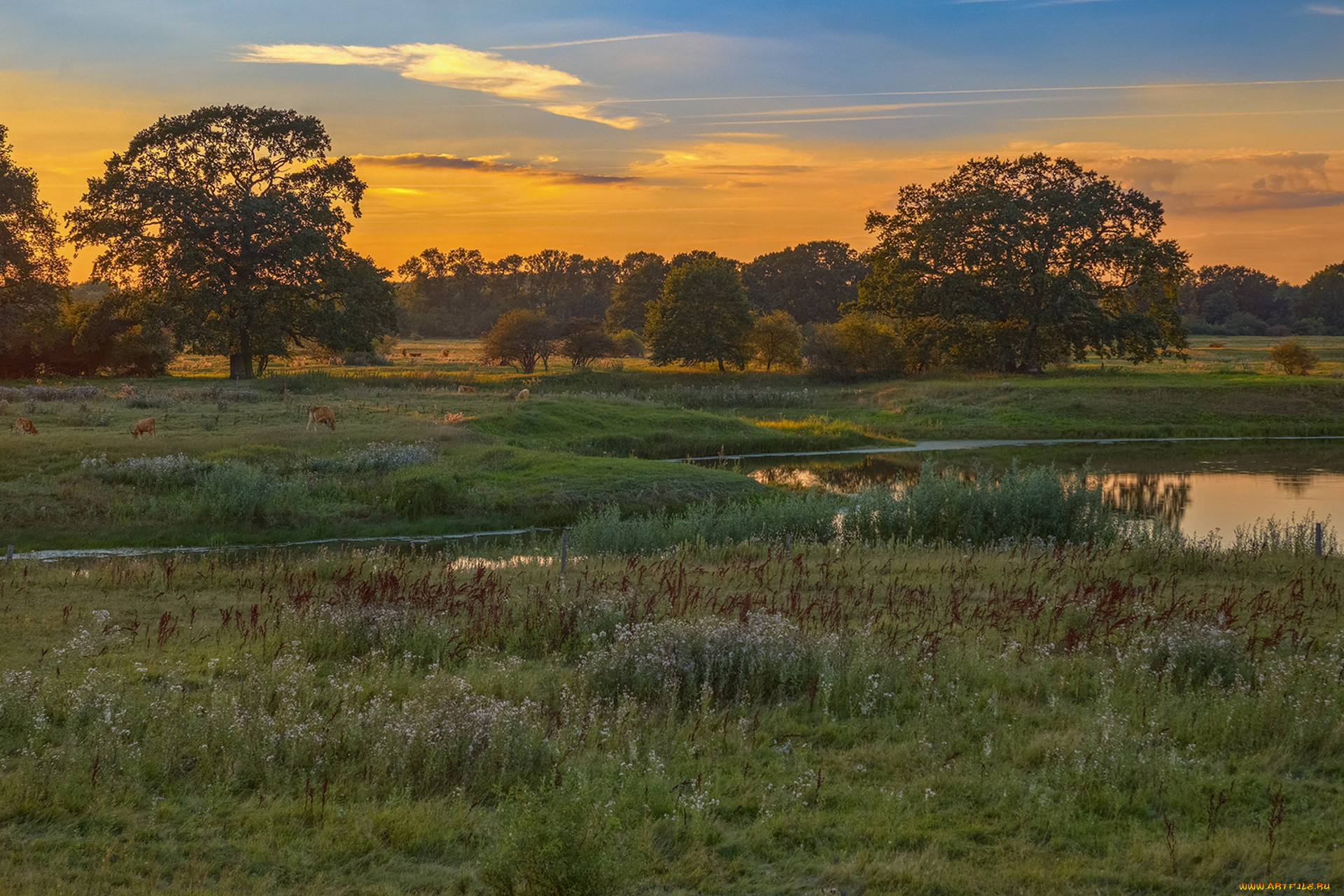 природа, пейзажи, простор