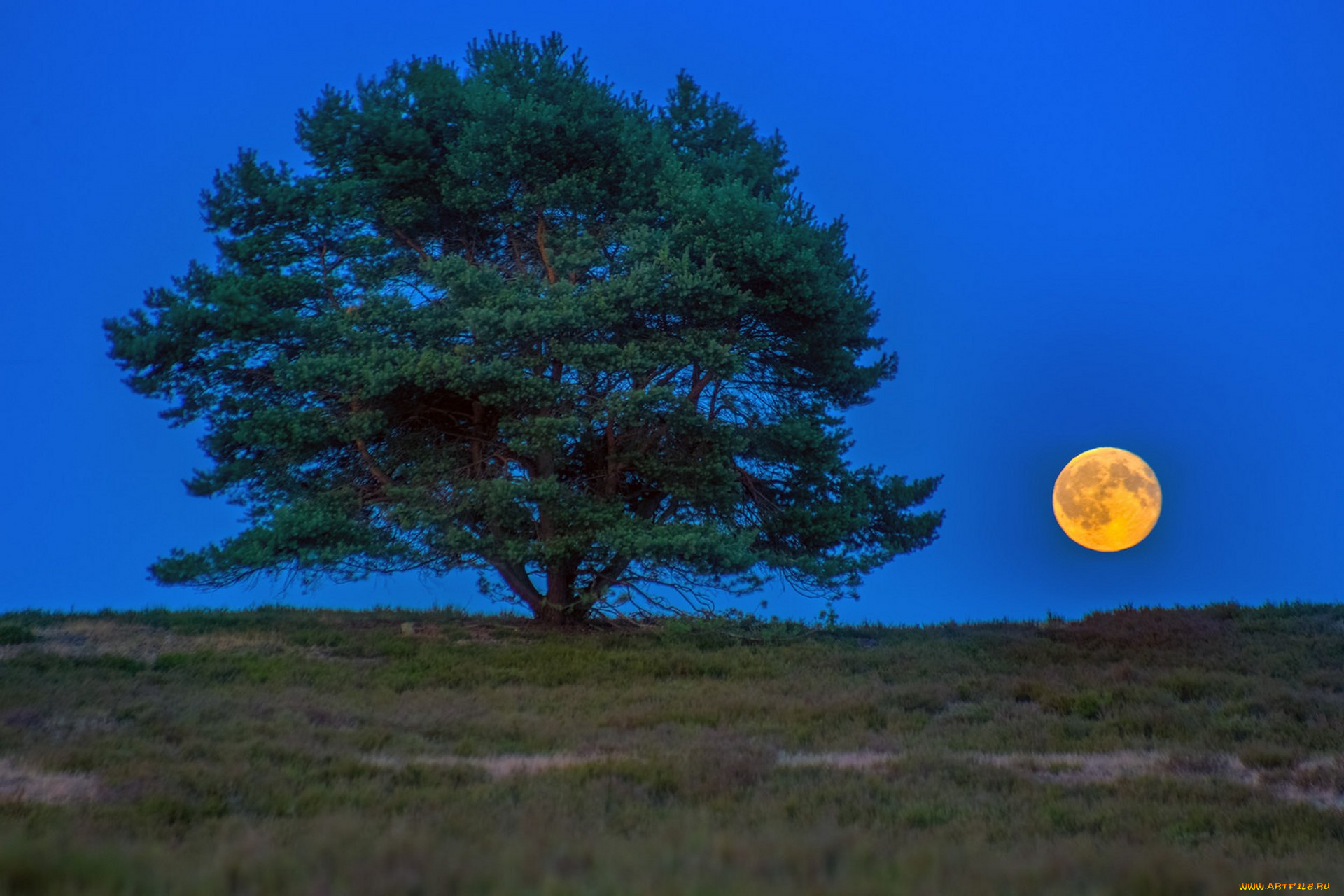 природа, пейзажи, простор