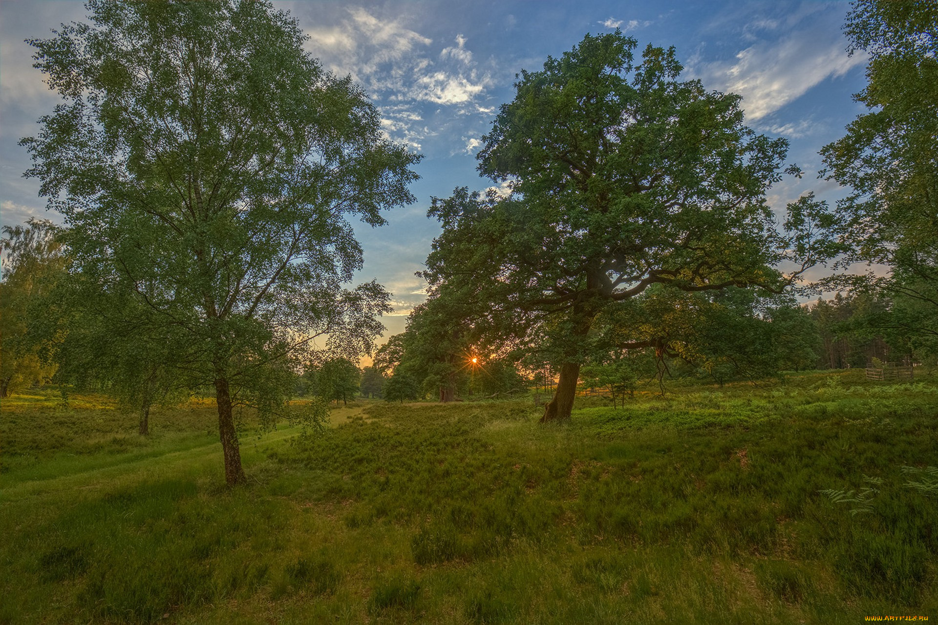 природа, пейзажи, простор