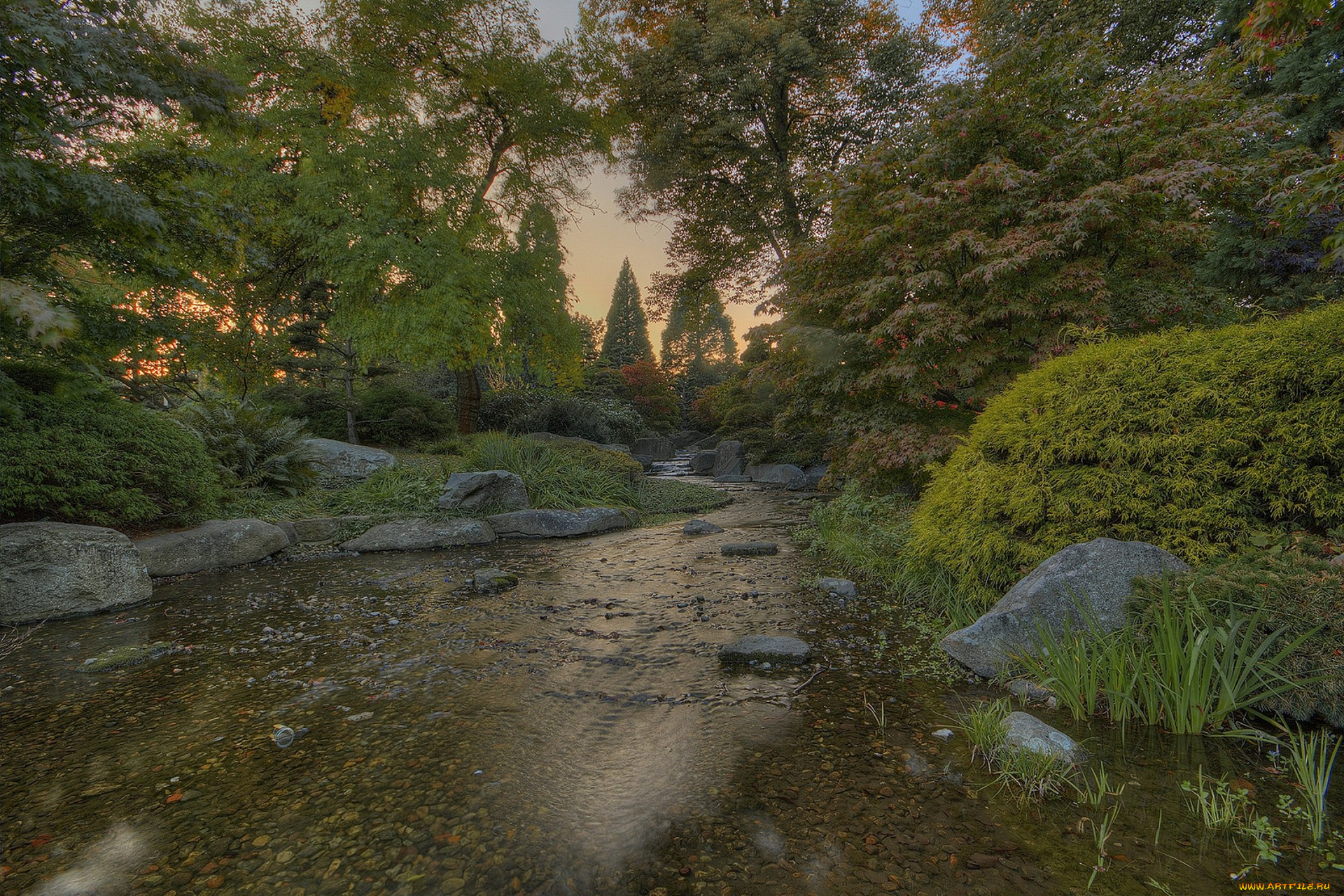 природа, реки, озера, простор