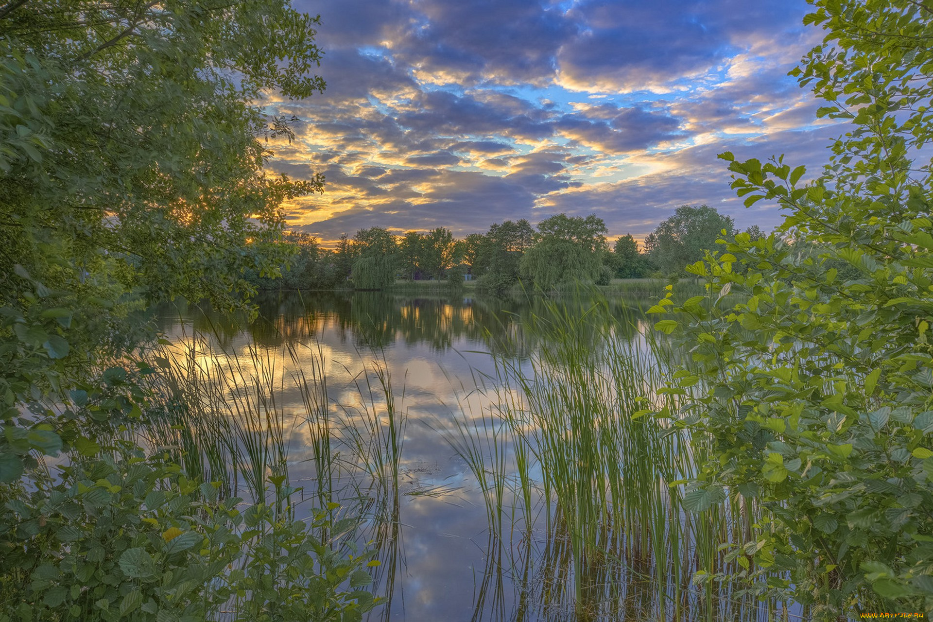 природа, реки, озера, простор