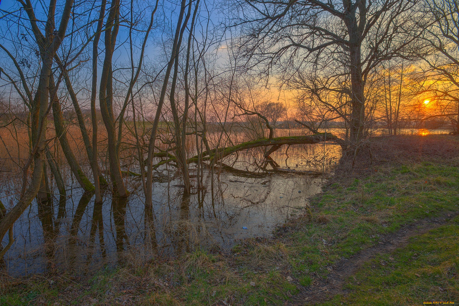 природа, реки, озера, простор