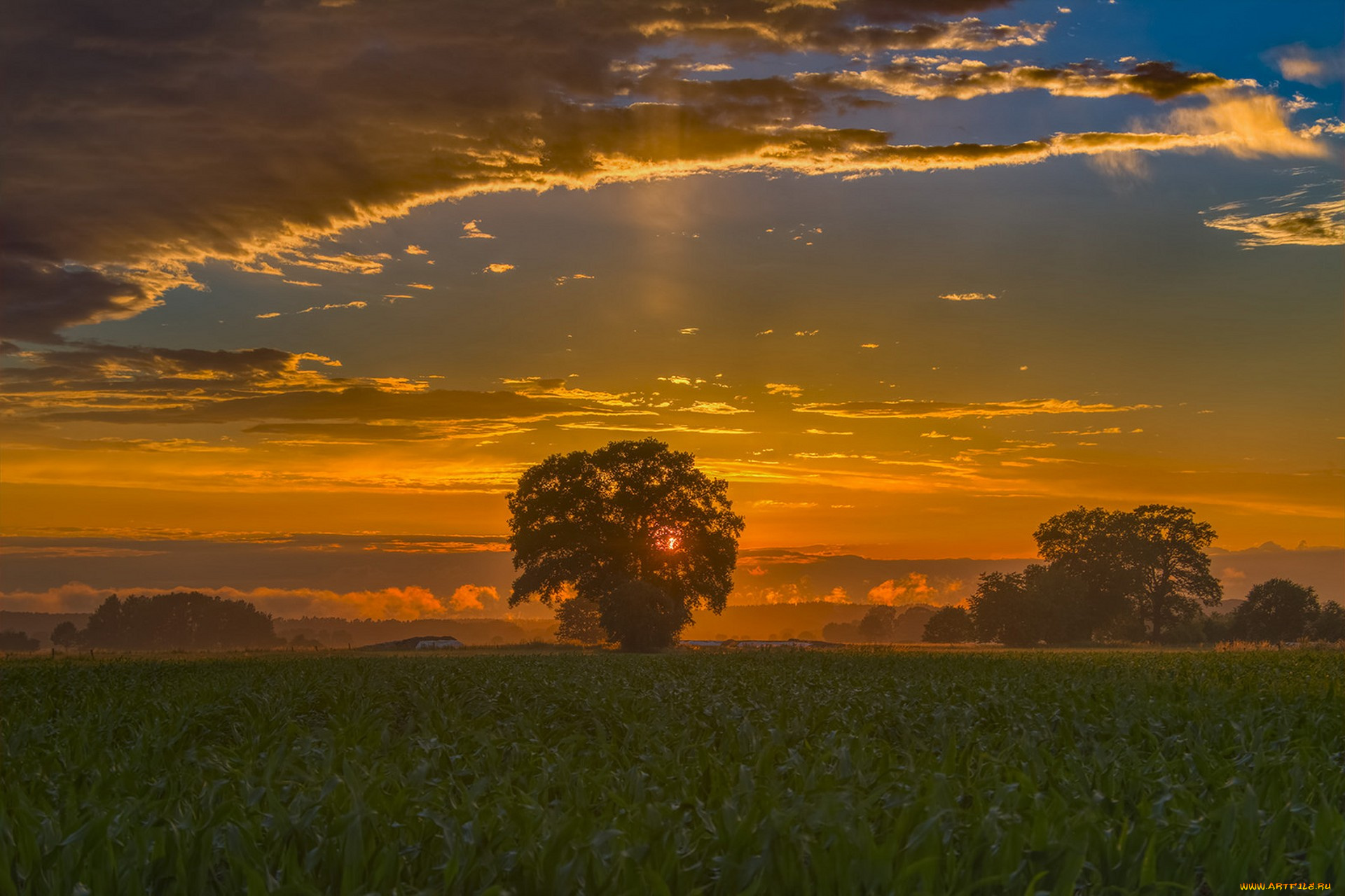 природа, восходы, закаты, простор