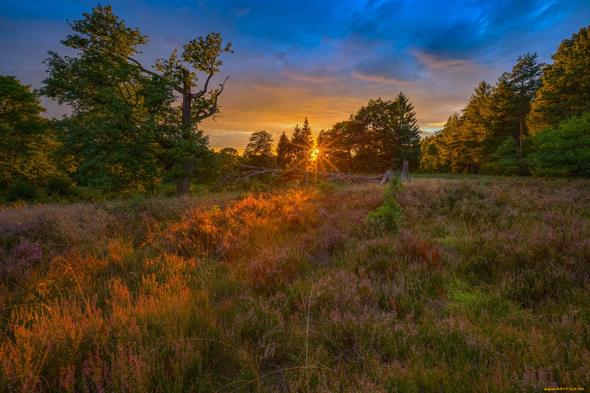 природа, восходы, закаты, простор