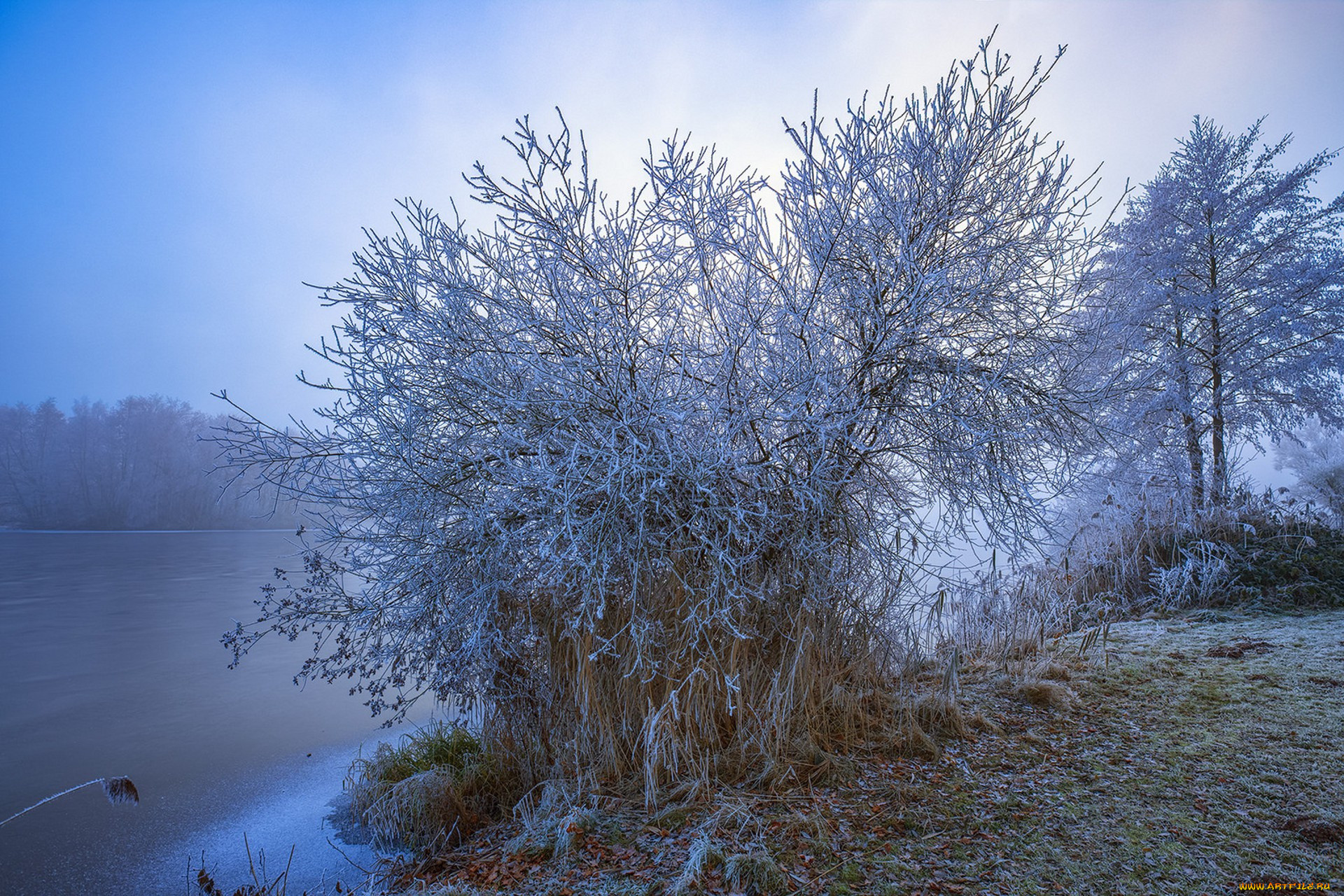природа, зима, простор