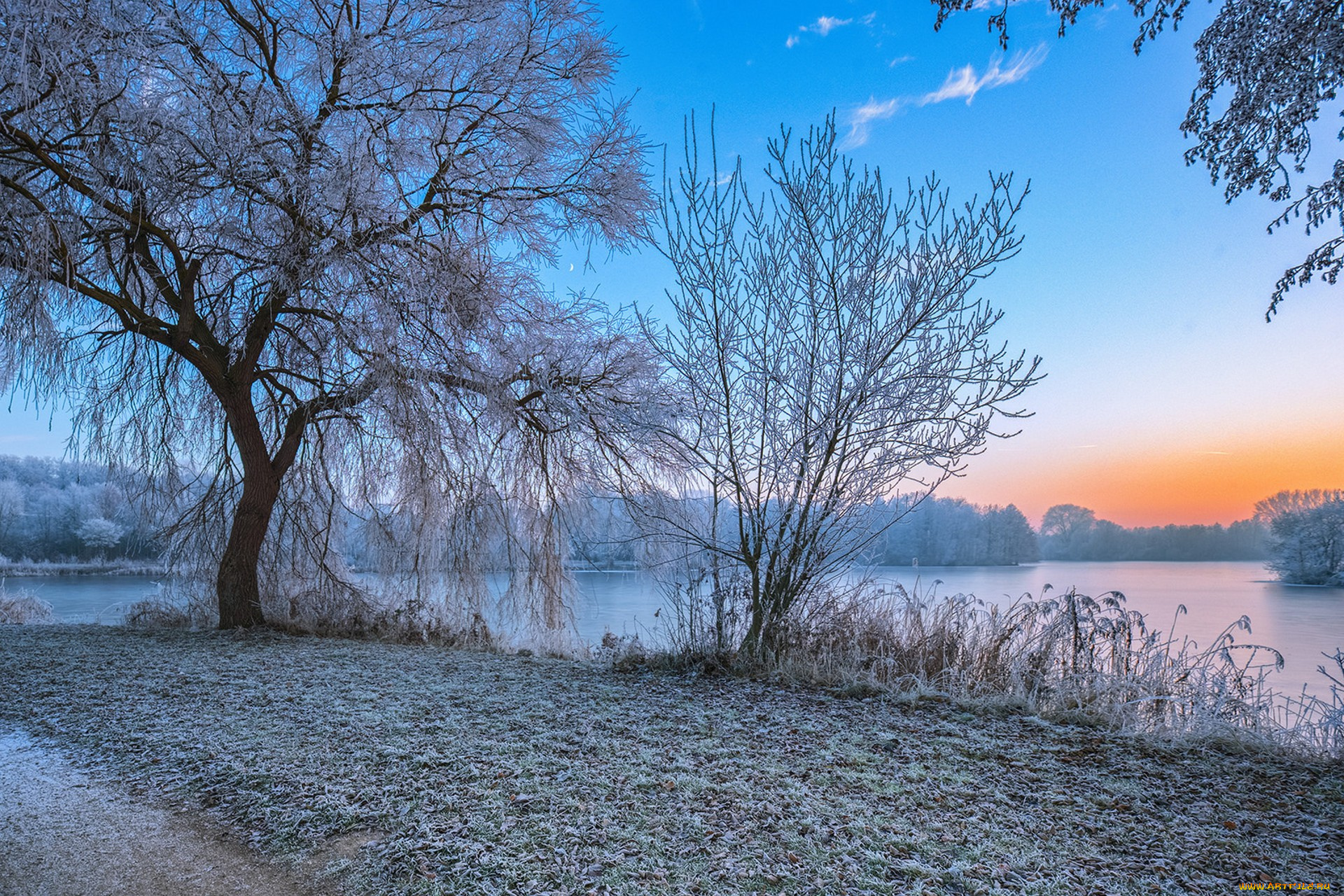 природа, зима, простор