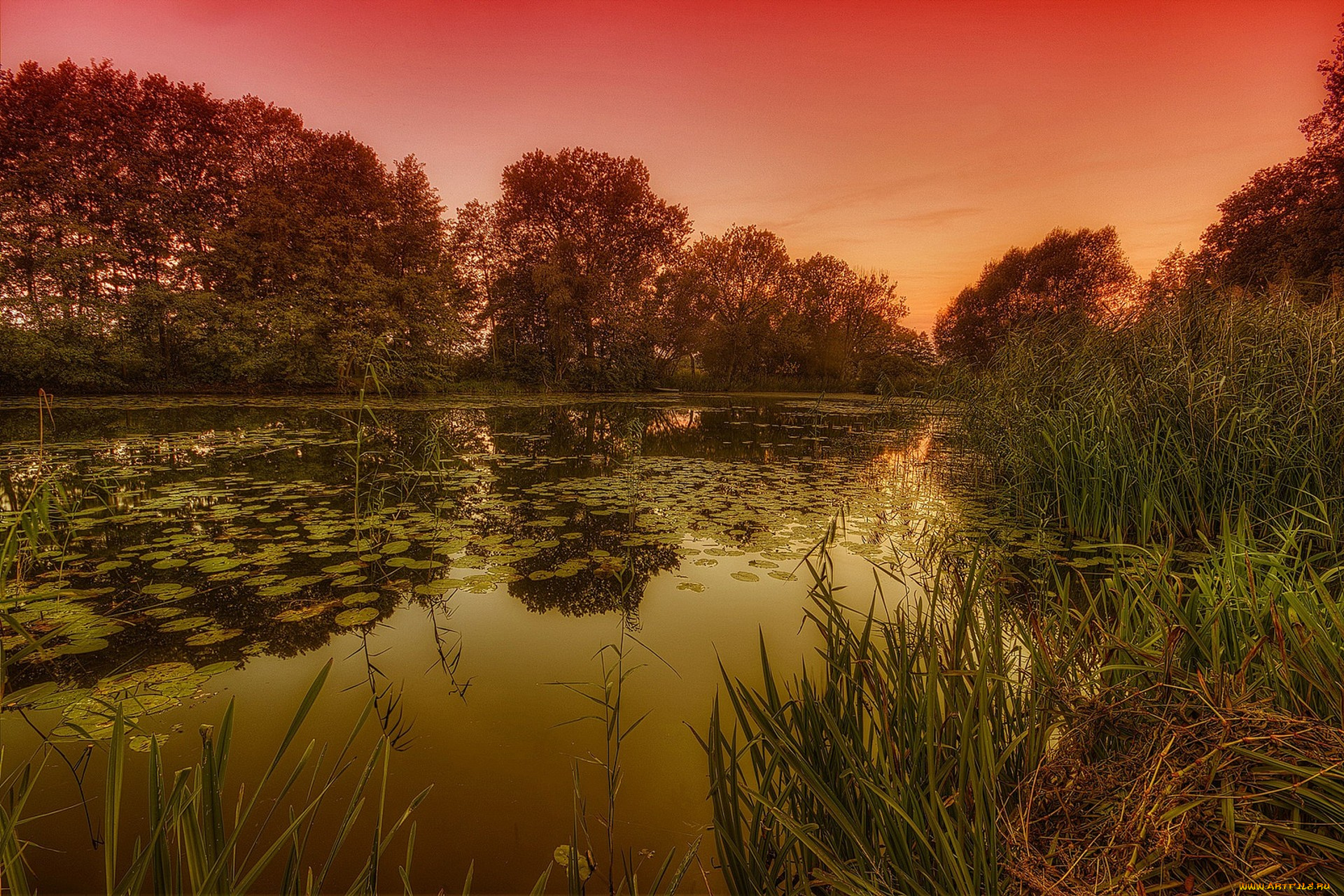 природа, реки, озера, простор