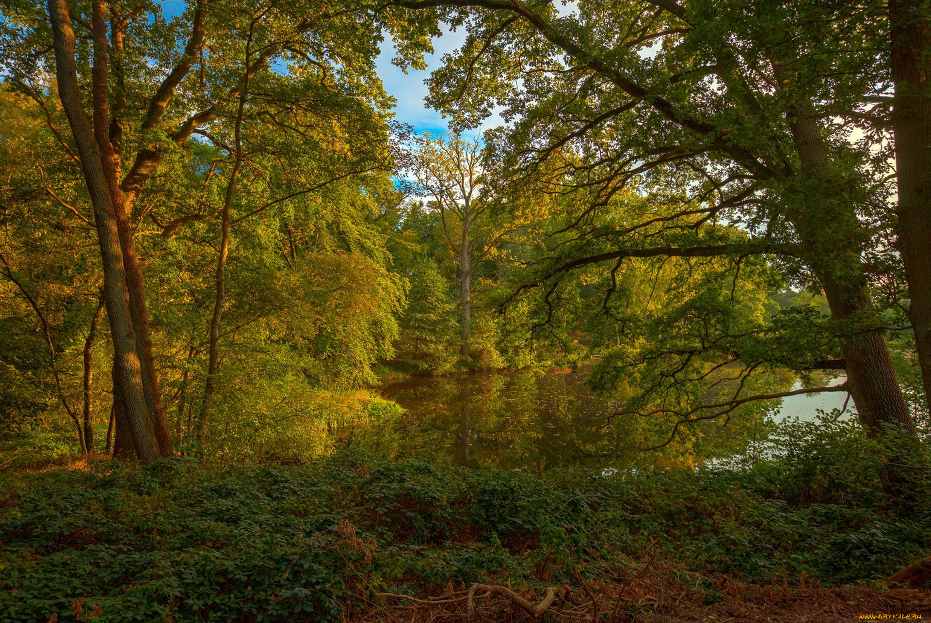 природа, реки, озера, простор