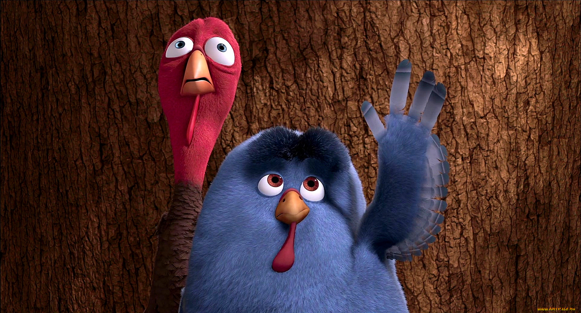 мультфильмы, free, birds, двое, птица, индюк