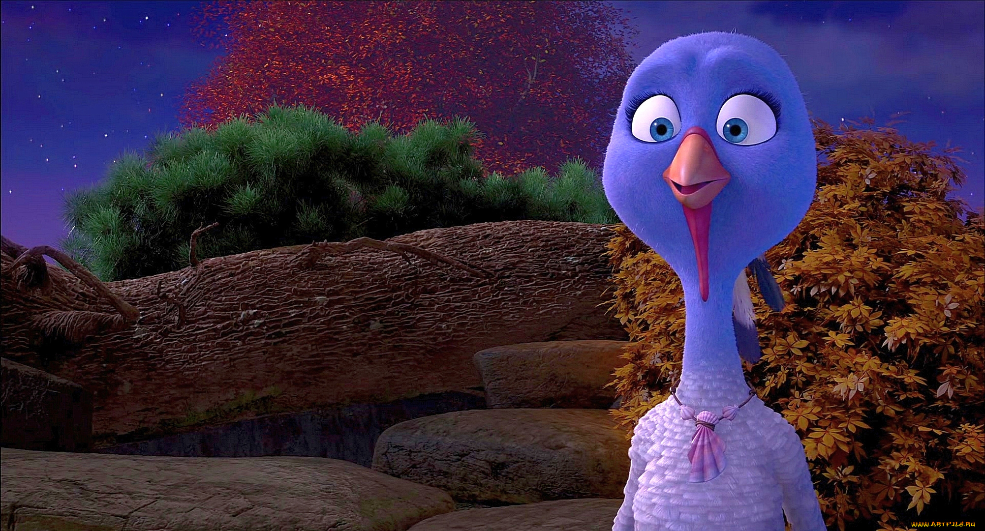 мультфильмы, free, birds, индюк, камни, деревья, птица, растения