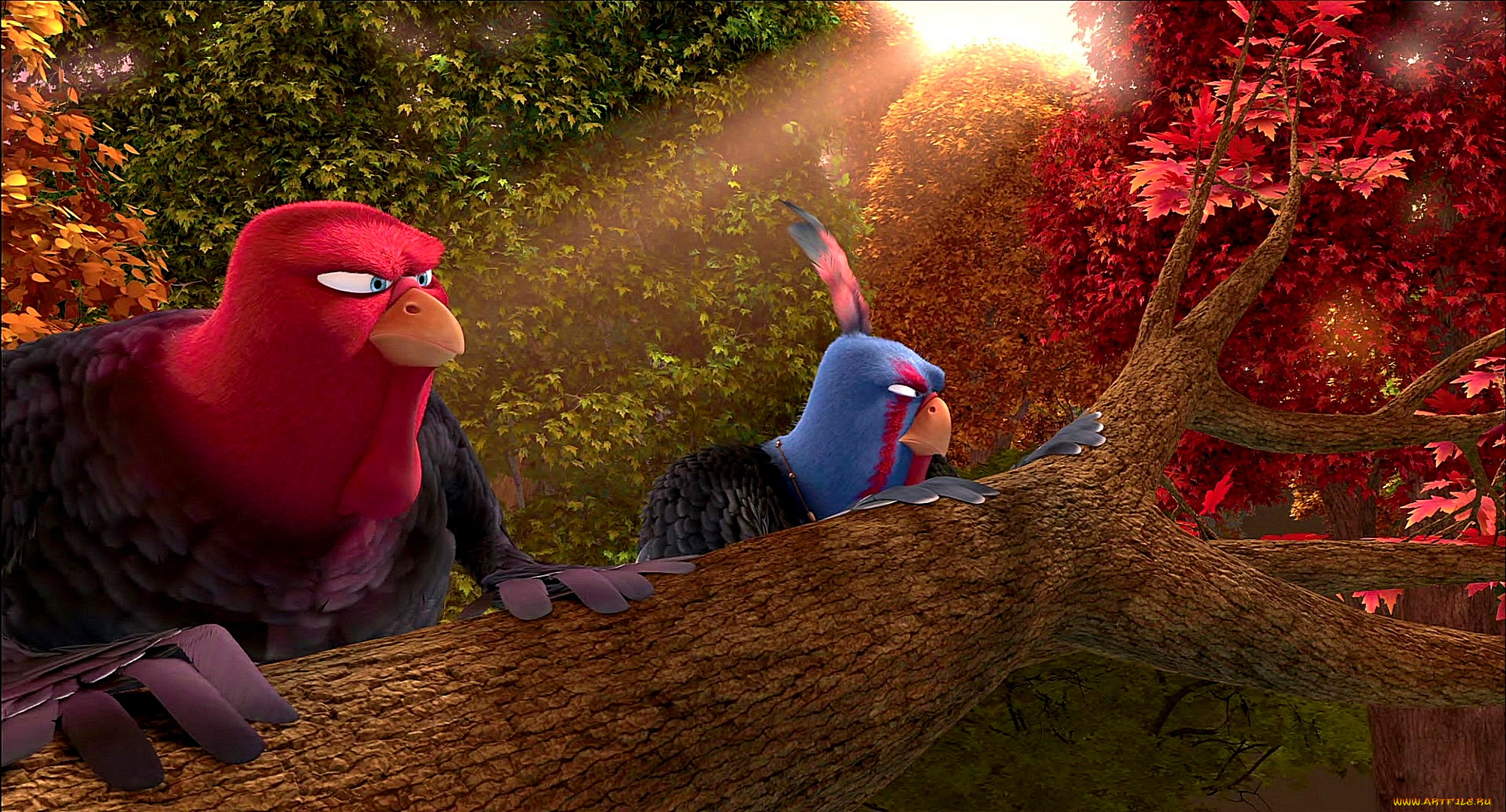 мультфильмы, free, birds, перо, раскраска, птица, деревья, двое, индюк