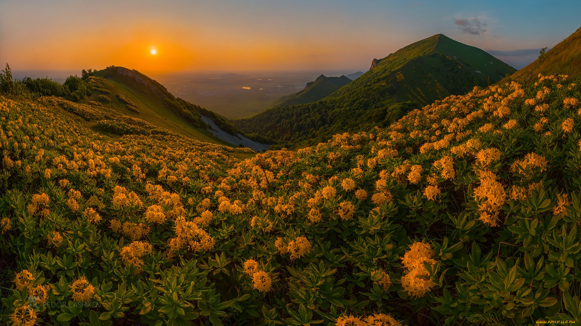 природа, луга, простор