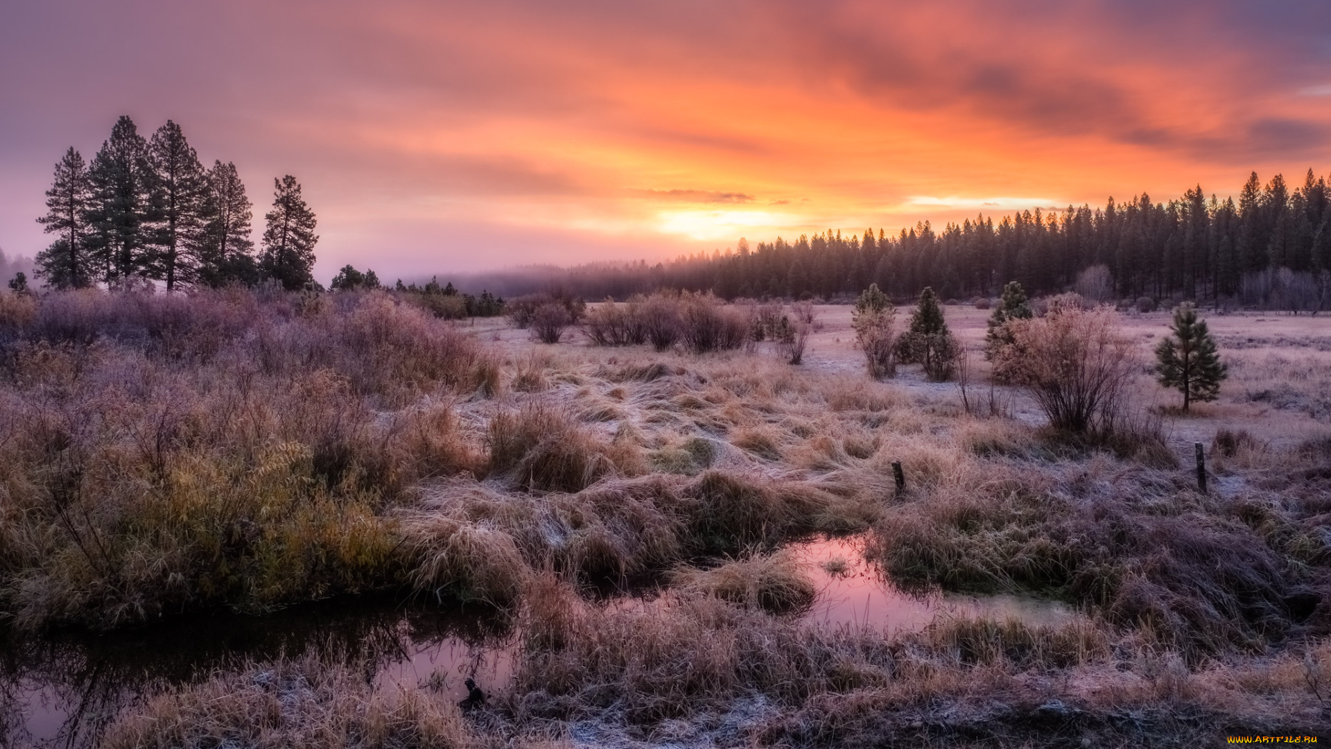 природа, пейзажи, простор