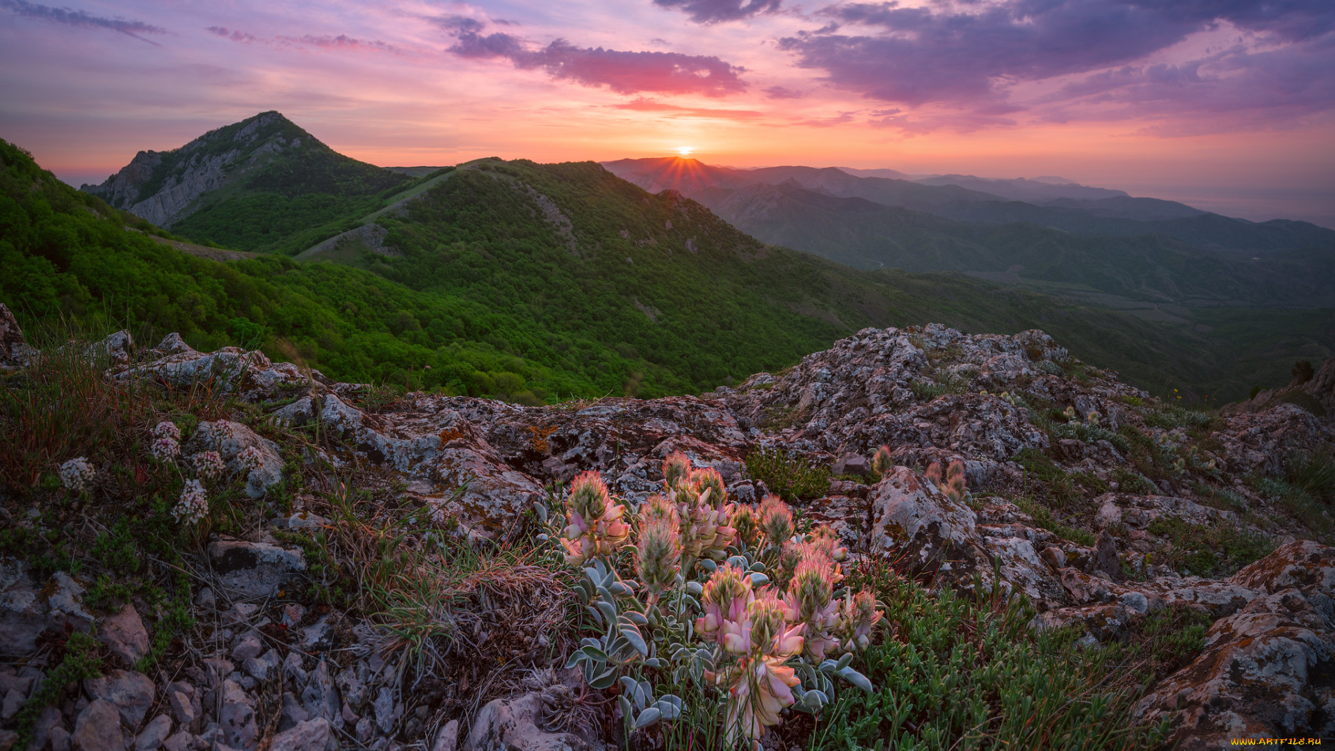 природа, пейзажи, простор