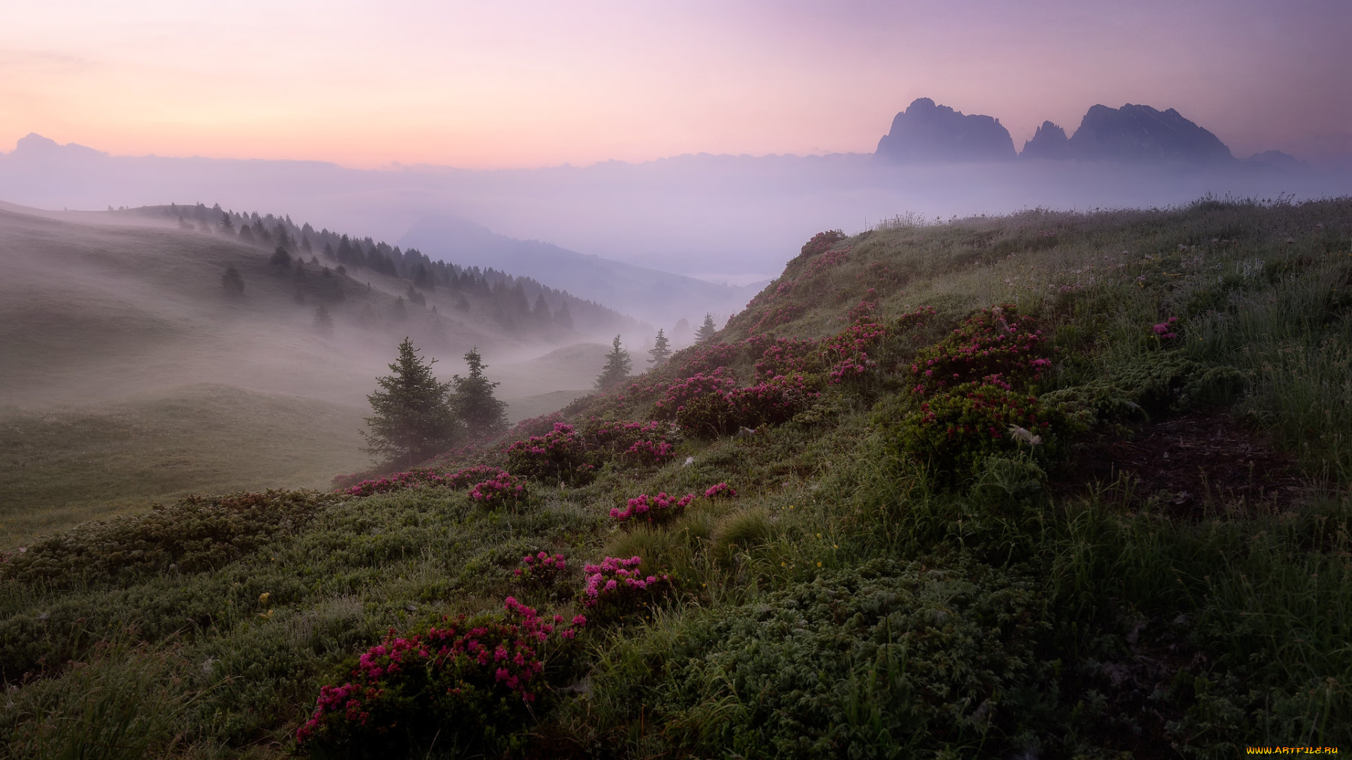 природа, пейзажи, простор