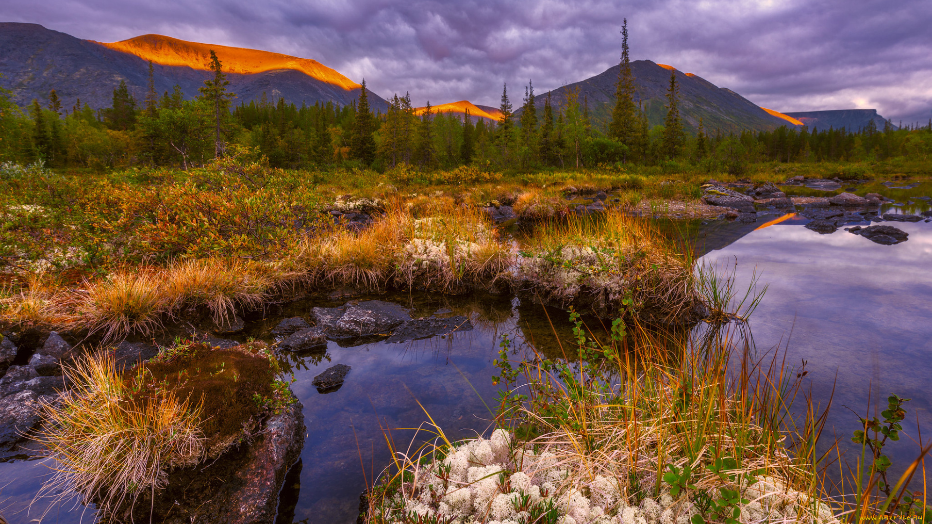 природа, реки, озера, простор