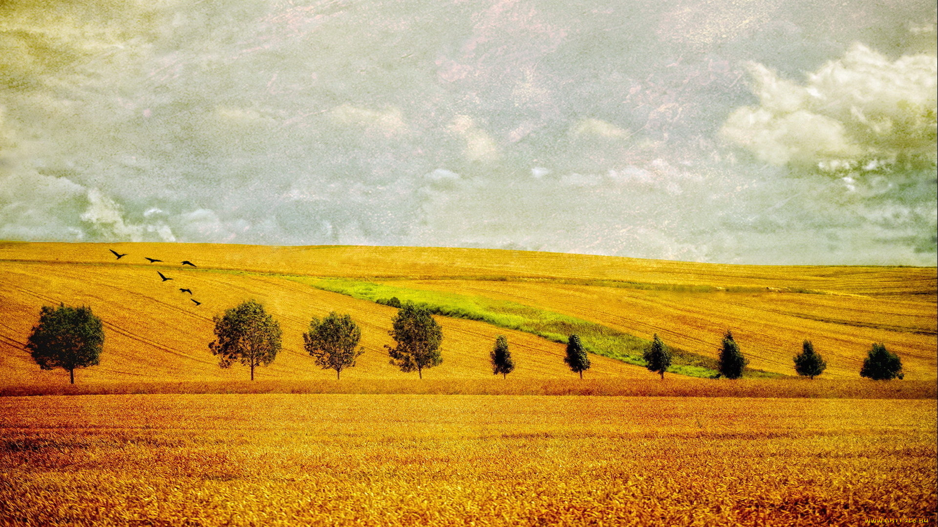 разное, компьютерный, дизайн, тучи, небо, деревья, поле, птицы