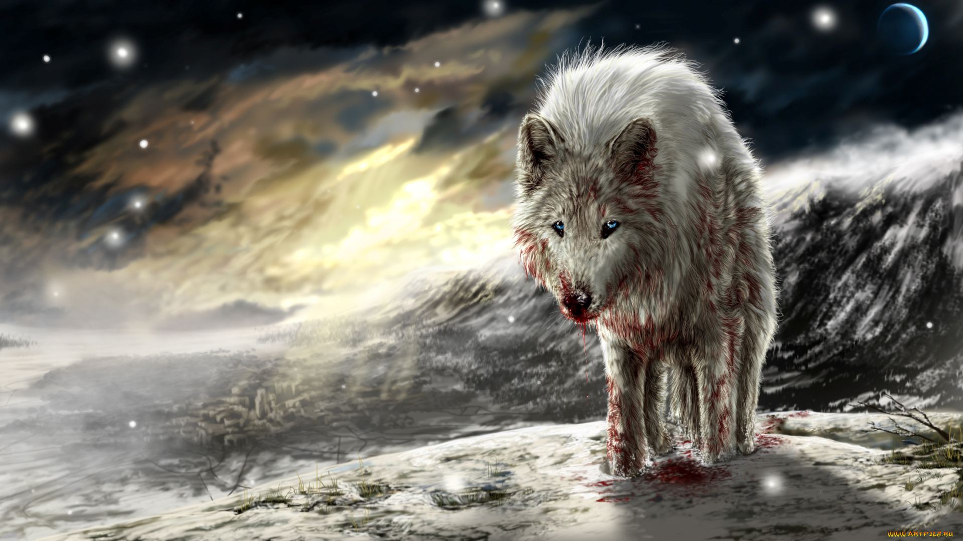 рисованное, животные, , волки, фон, волк, взгляд