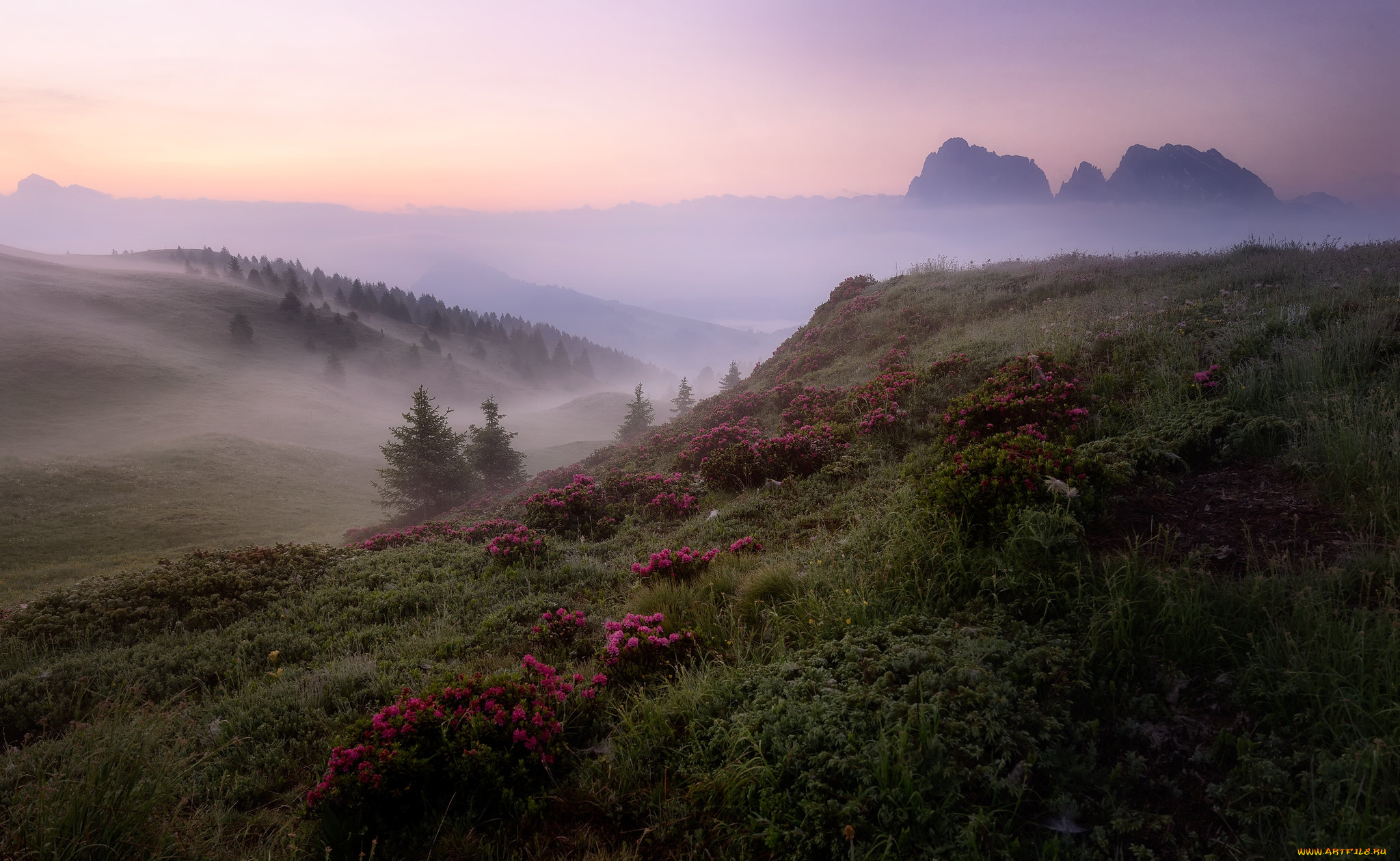 природа, пейзажи, простор