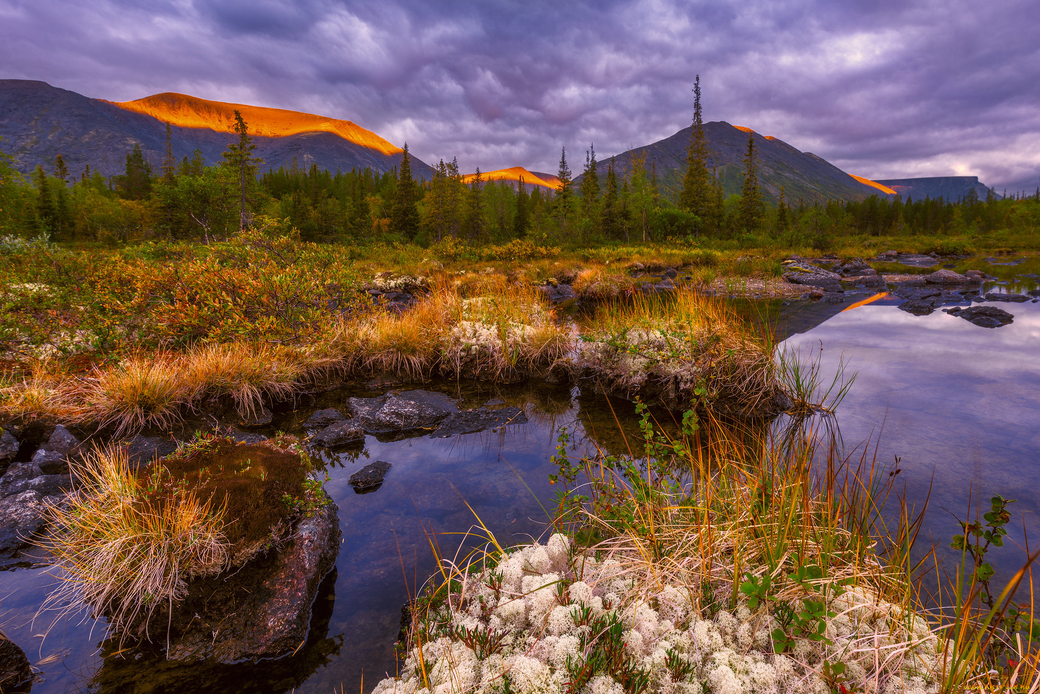 природа, реки, озера, простор