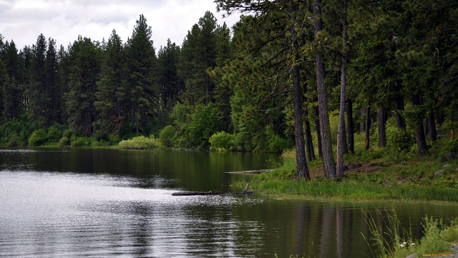 morgan, lake, oregon, usa, природа, реки, озера, morgan, lake