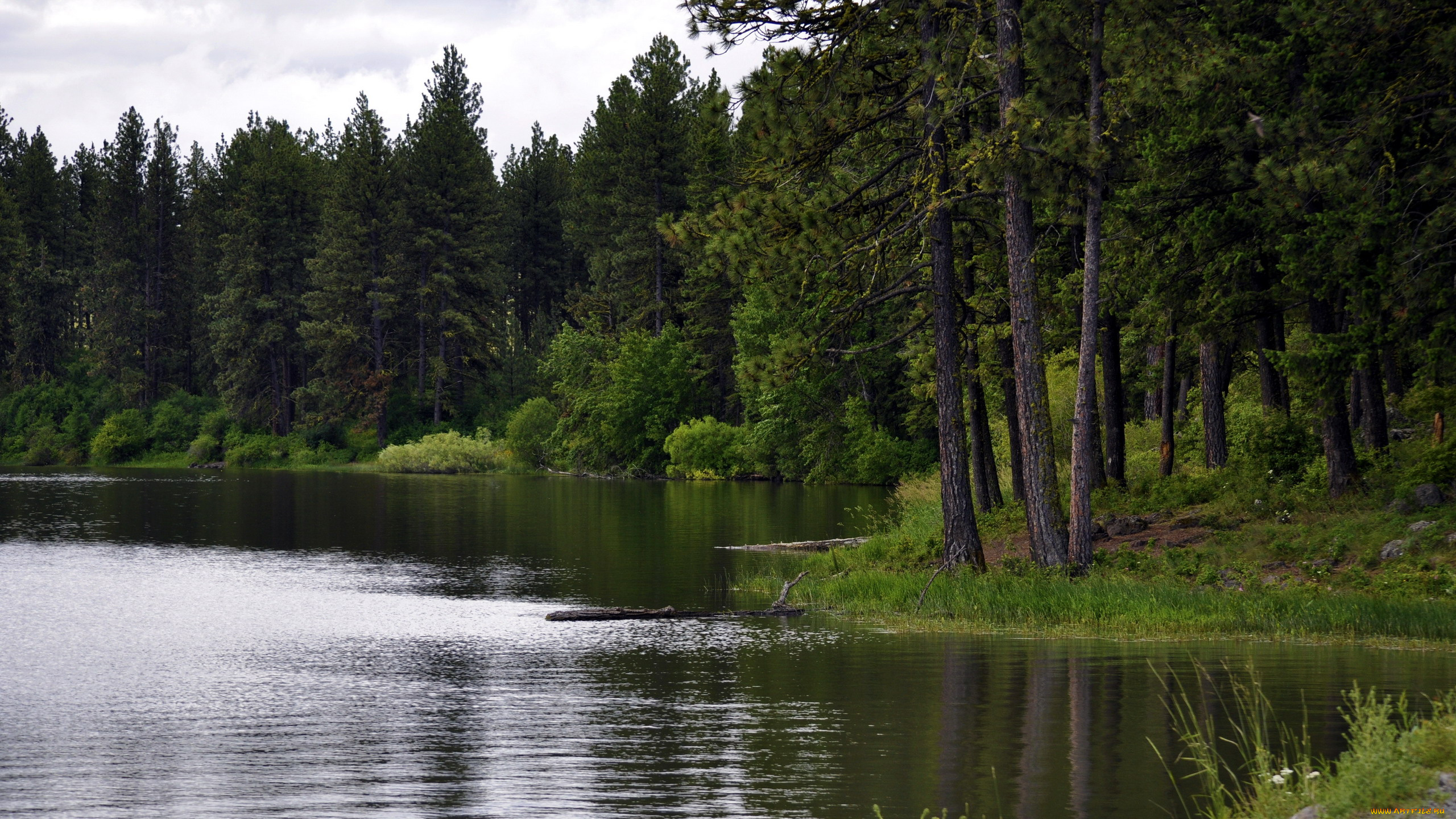 morgan, lake, oregon, usa, природа, реки, озера, morgan, lake