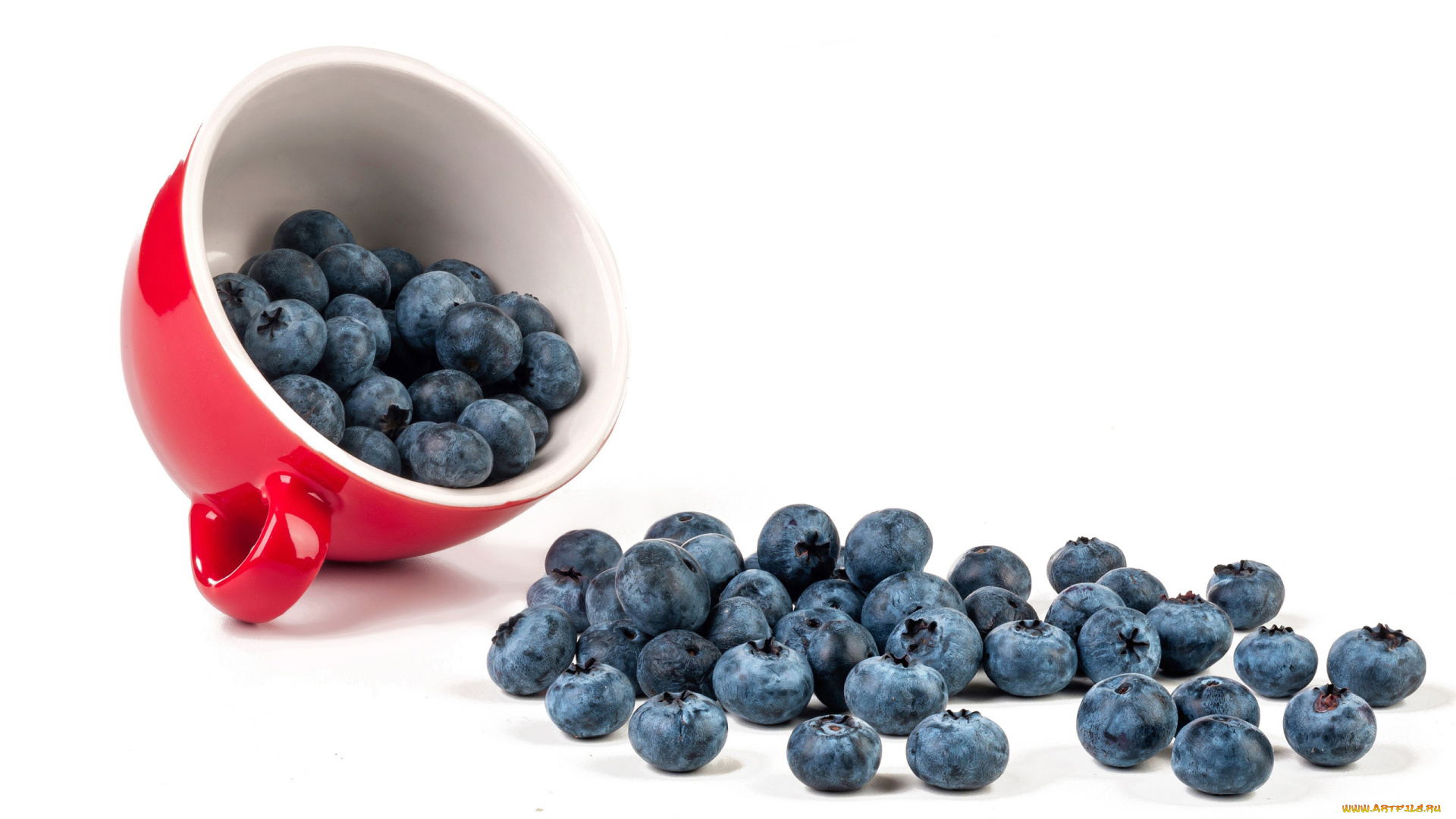еда, голубика, , черника, черника