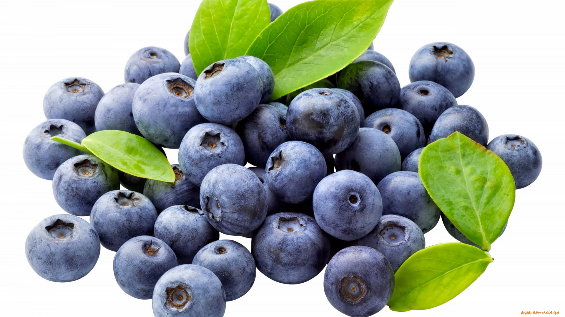 еда, голубика, , черника, черника