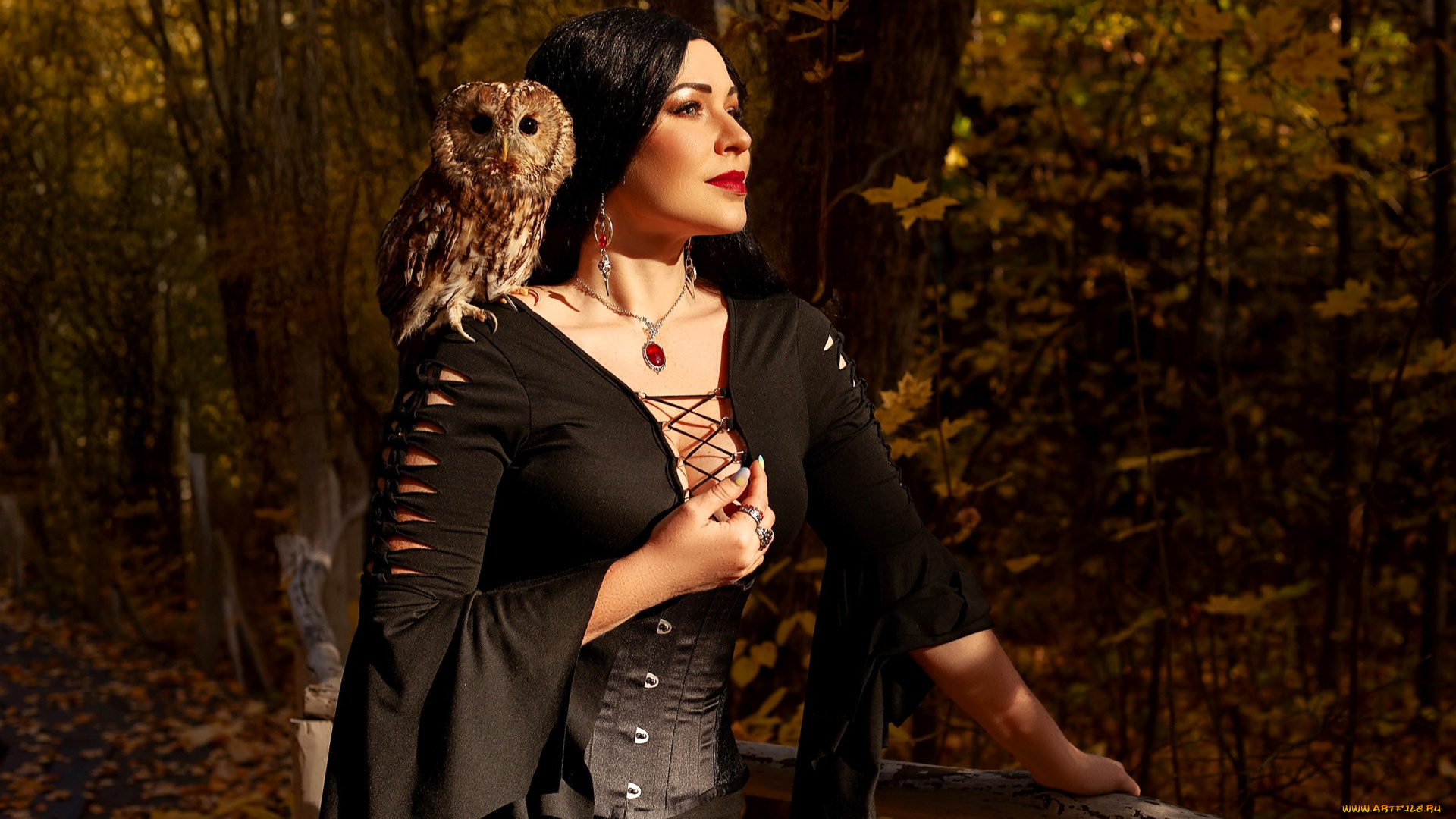 девушки, юлия, огородникова, образ, косплей, наряд, костюм, платье, сова, ведьма, перила, лес, осень