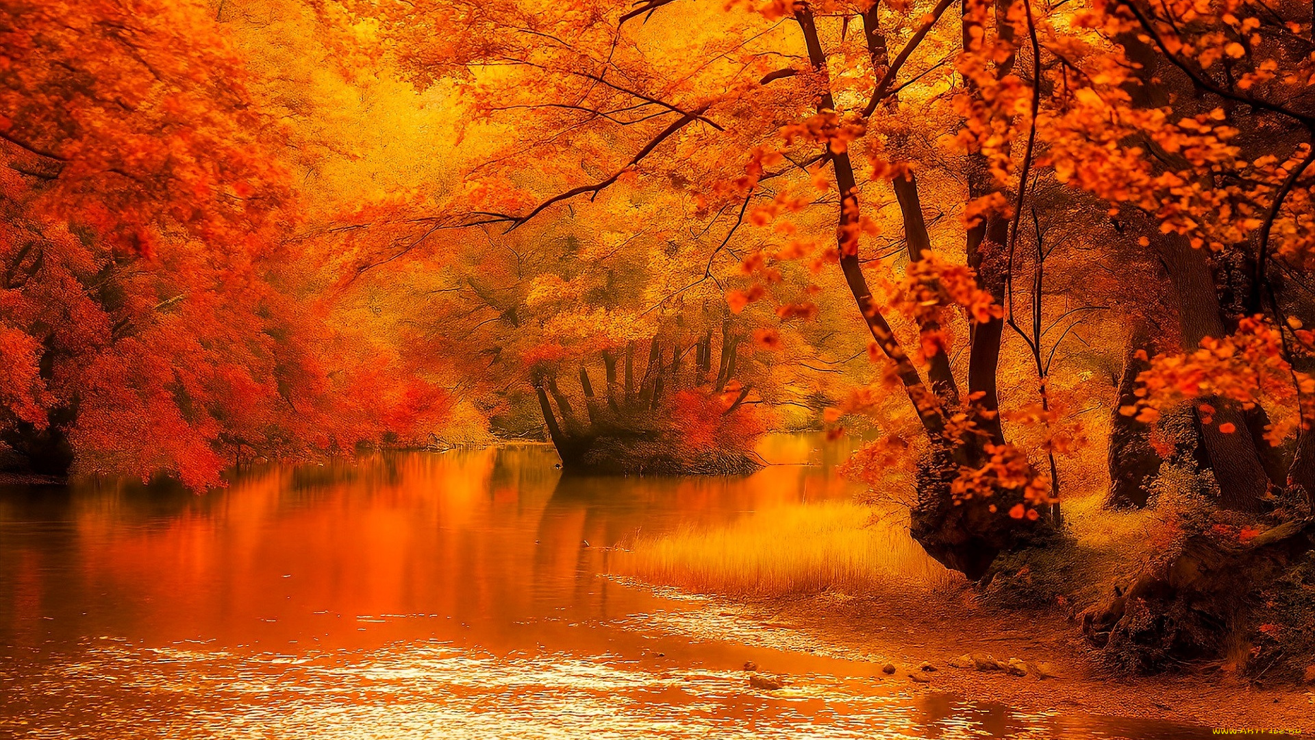 разное, компьютерный, дизайн, осень, лес, река