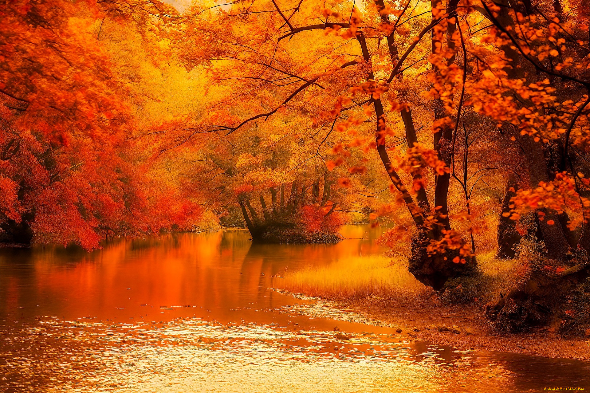 разное, компьютерный, дизайн, осень, лес, река