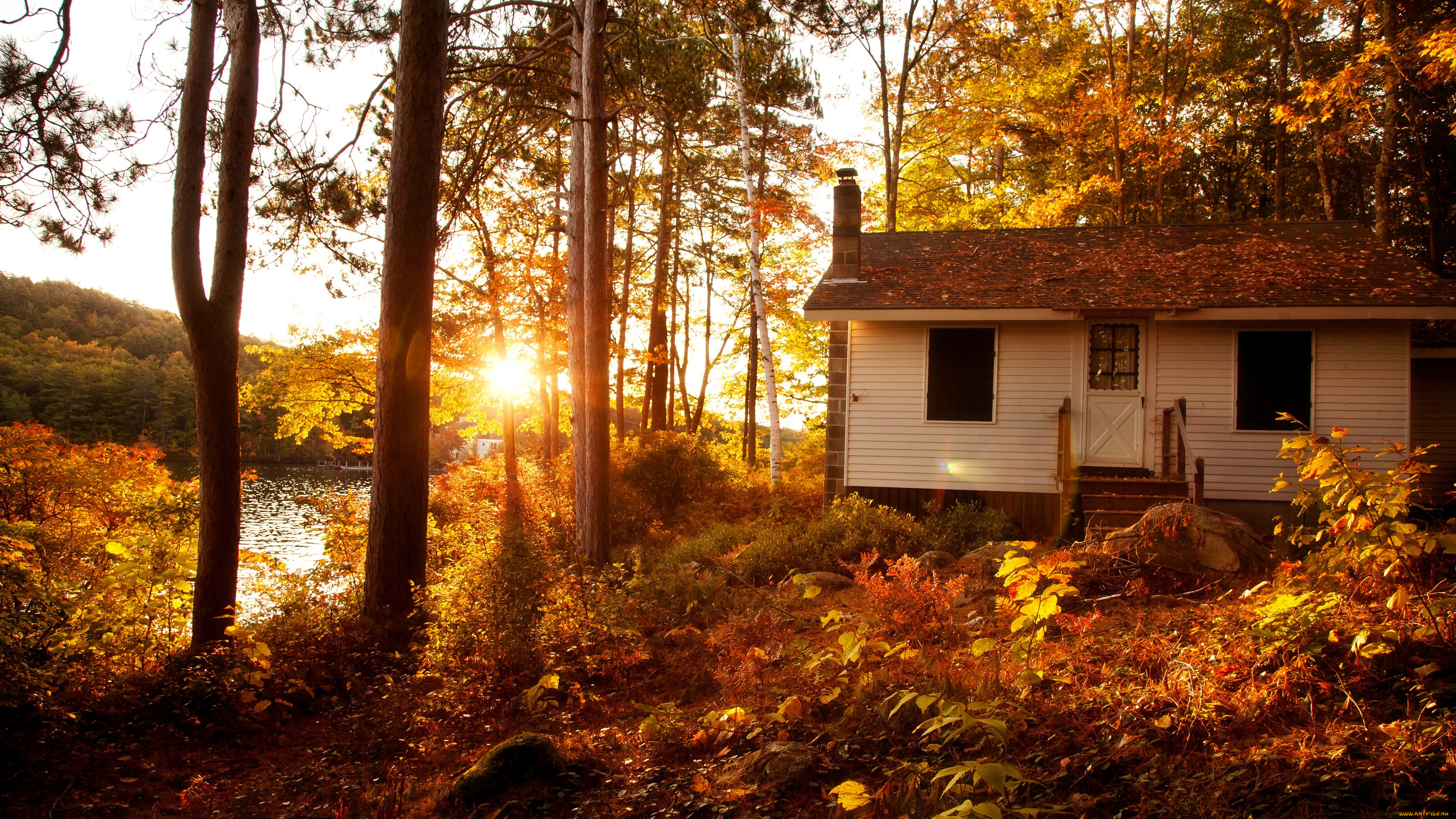 города, -, здания, , дома, дом, лес, осень, река