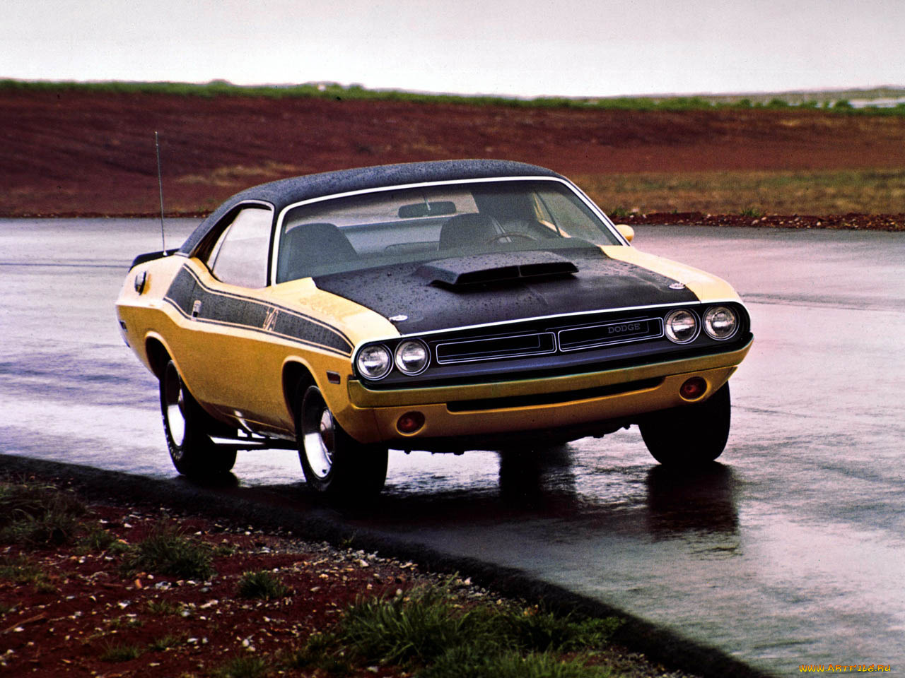 dodge, challenger, автомобили