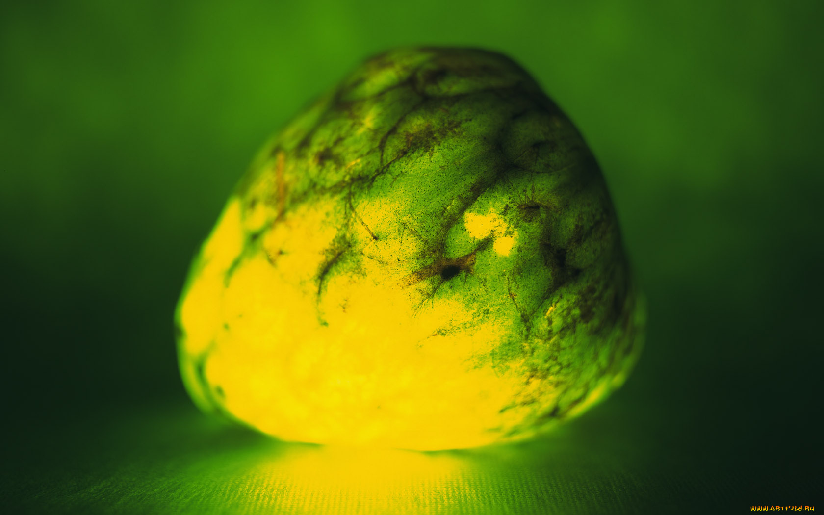 еда, артишок