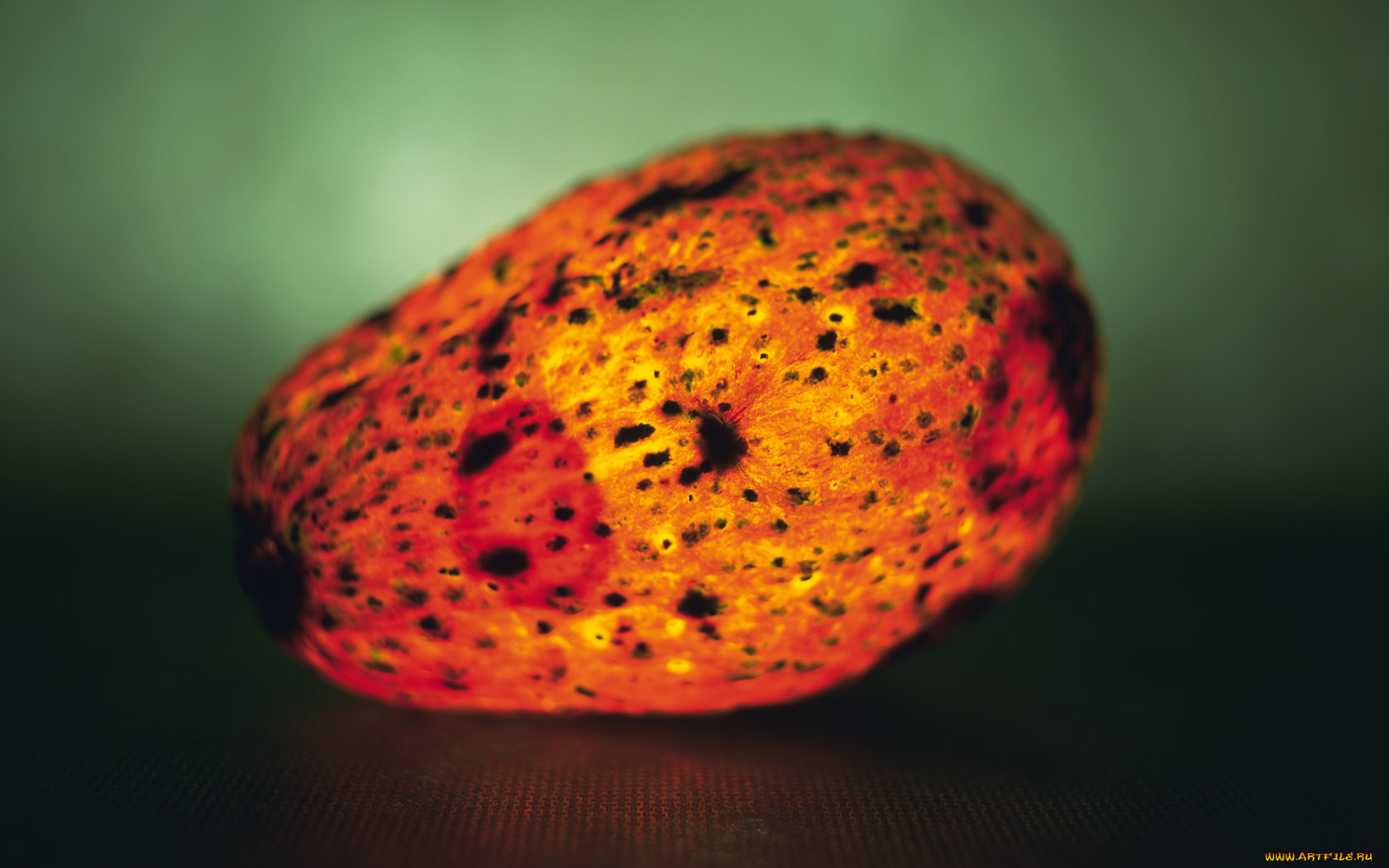 еда, авокадо