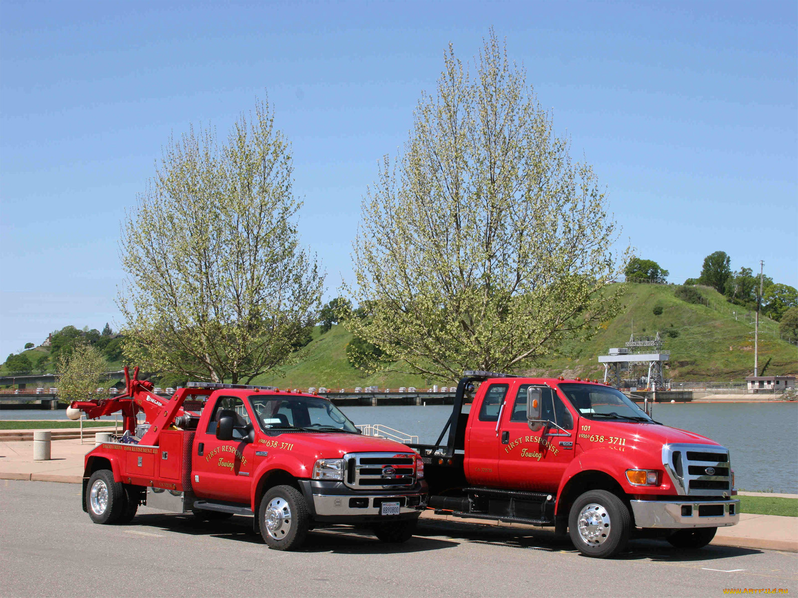 автомобили, ford, trucks